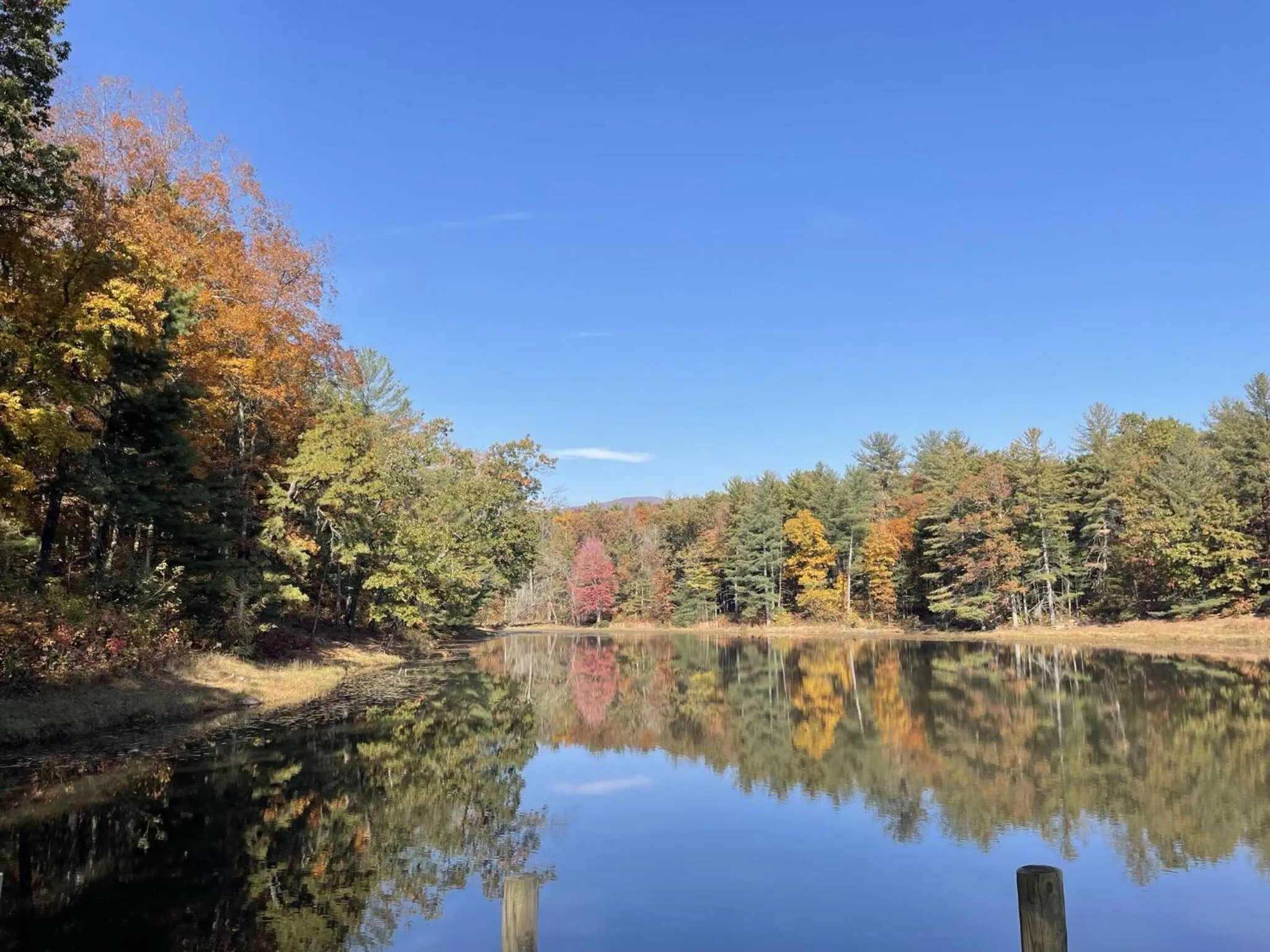 Children play ground in Montfair Resort Farm