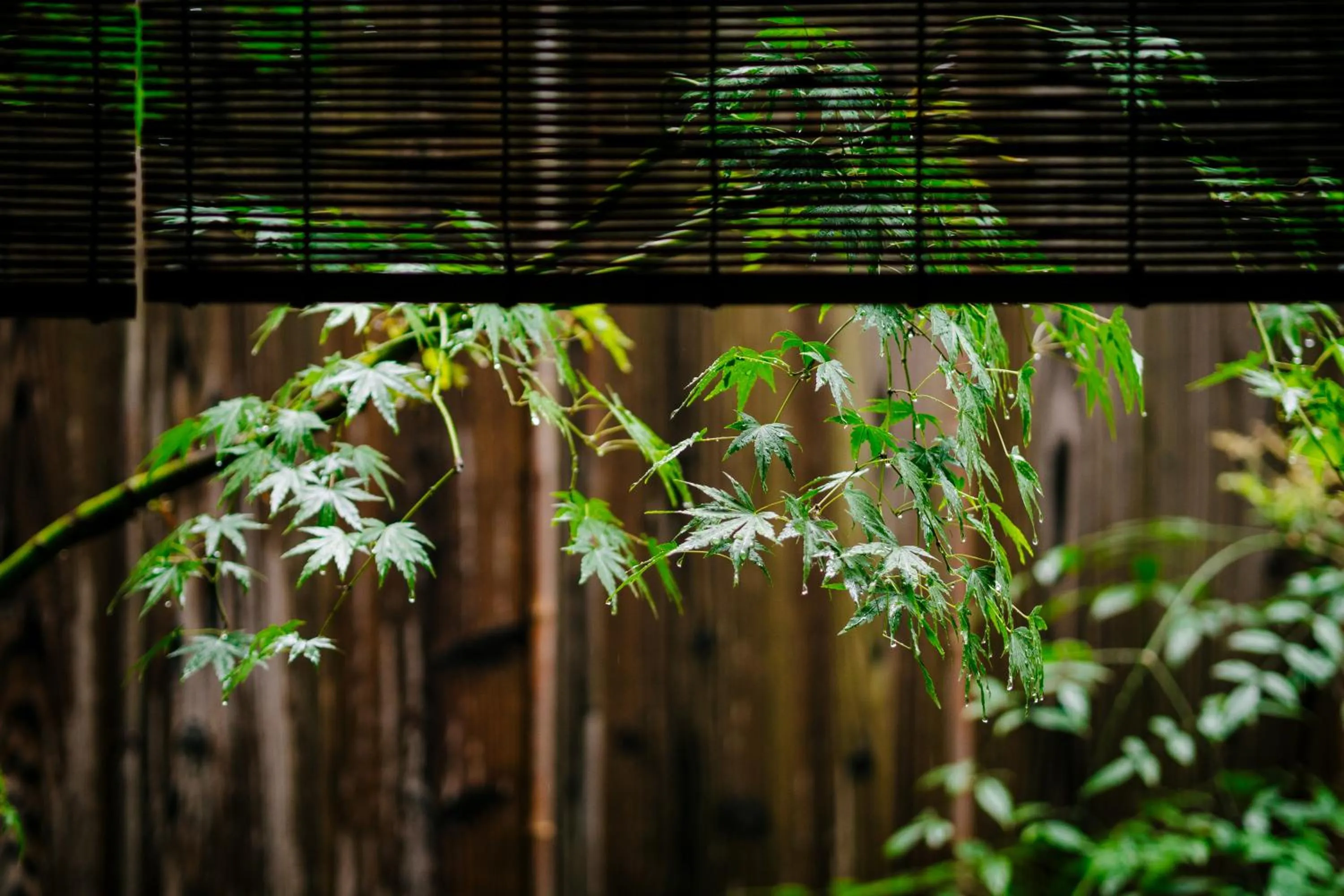 Decorative detail in Momohana an Machiya House