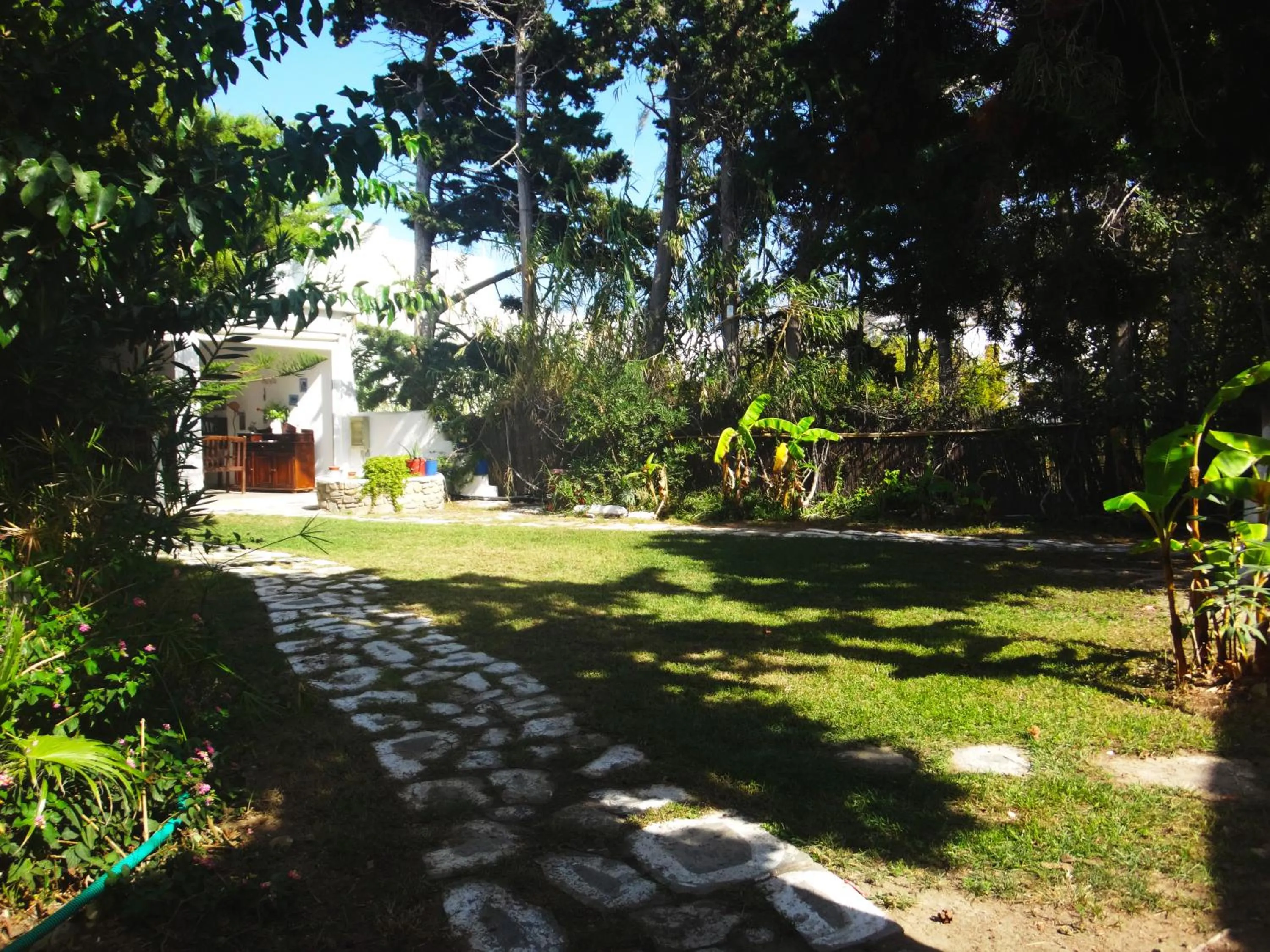 Garden in Casa Di Roma
