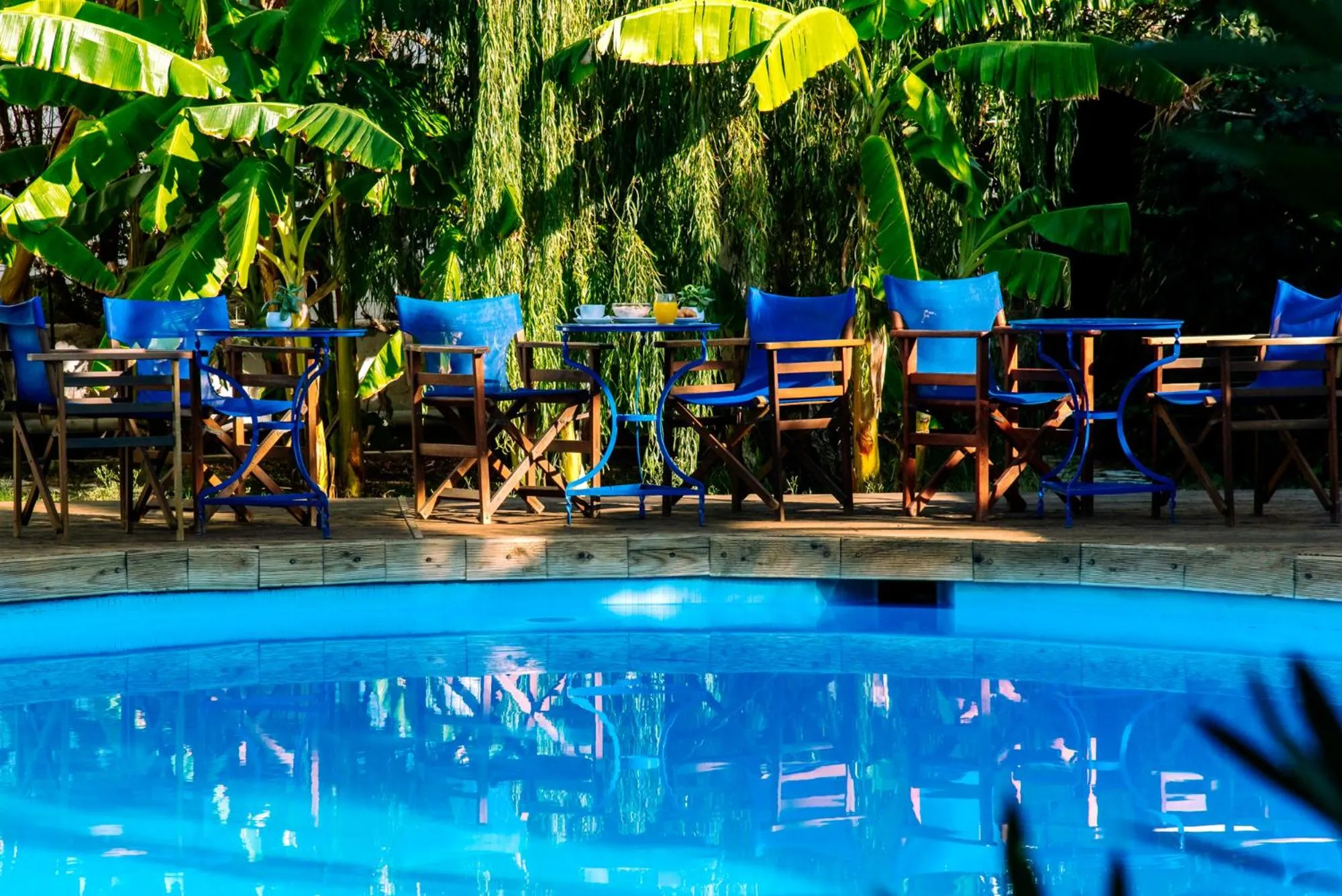 Garden in Casa Di Roma