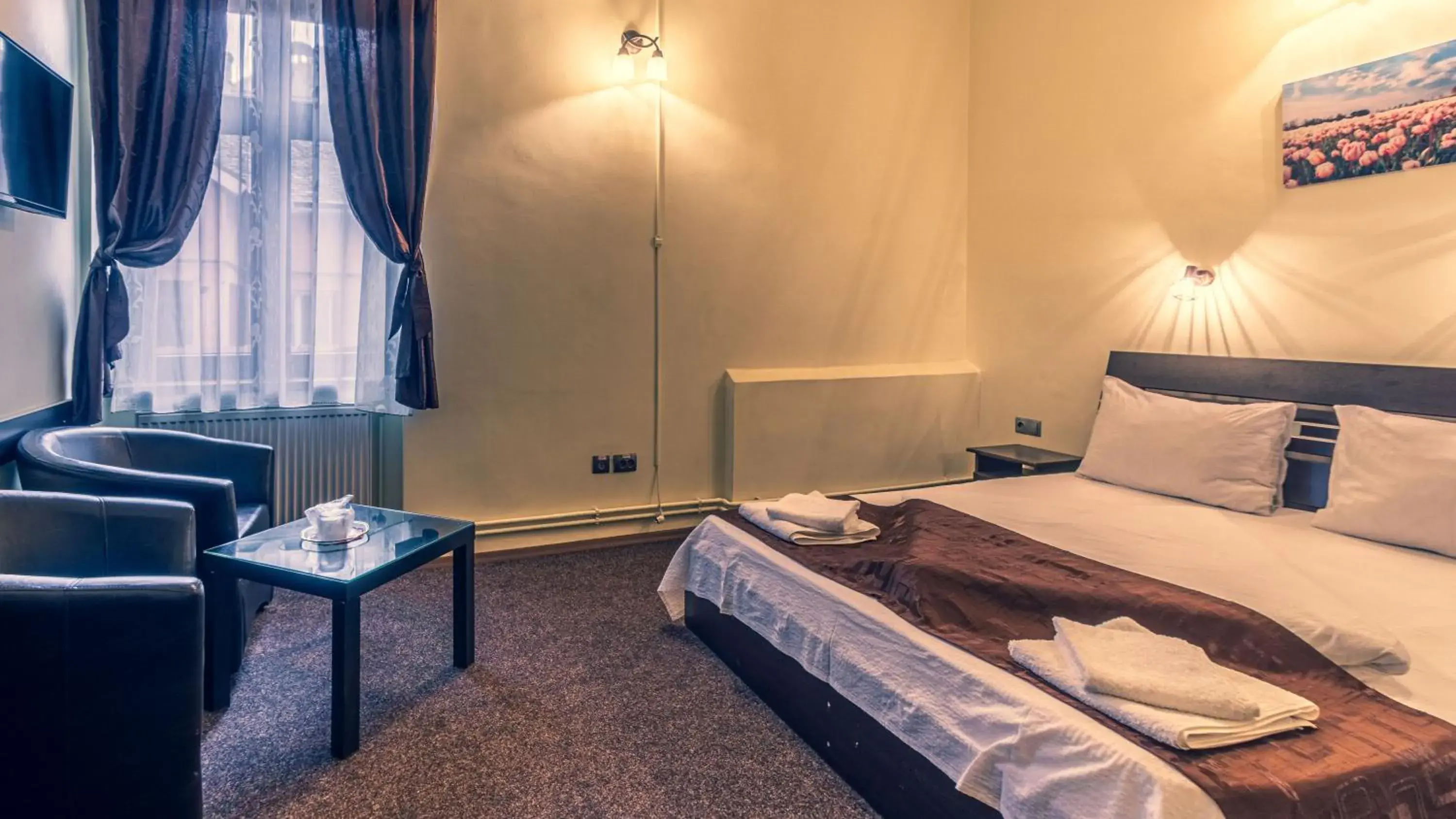 Standard Double Room in Pensiunea Hermannstadt Standard Double Room in Pensiunea Hermannstadt