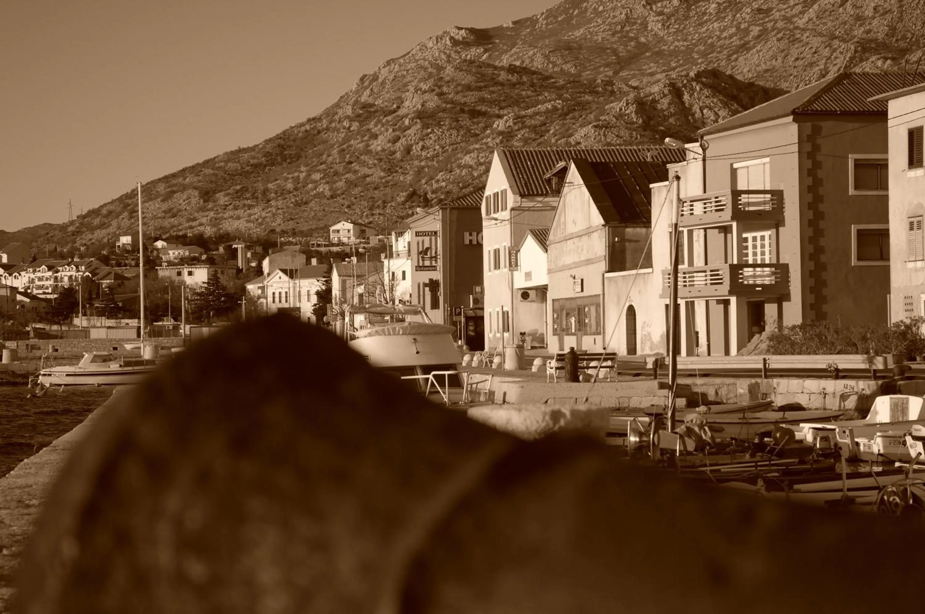 Area and facilities in Hotel Palace Vrkljan