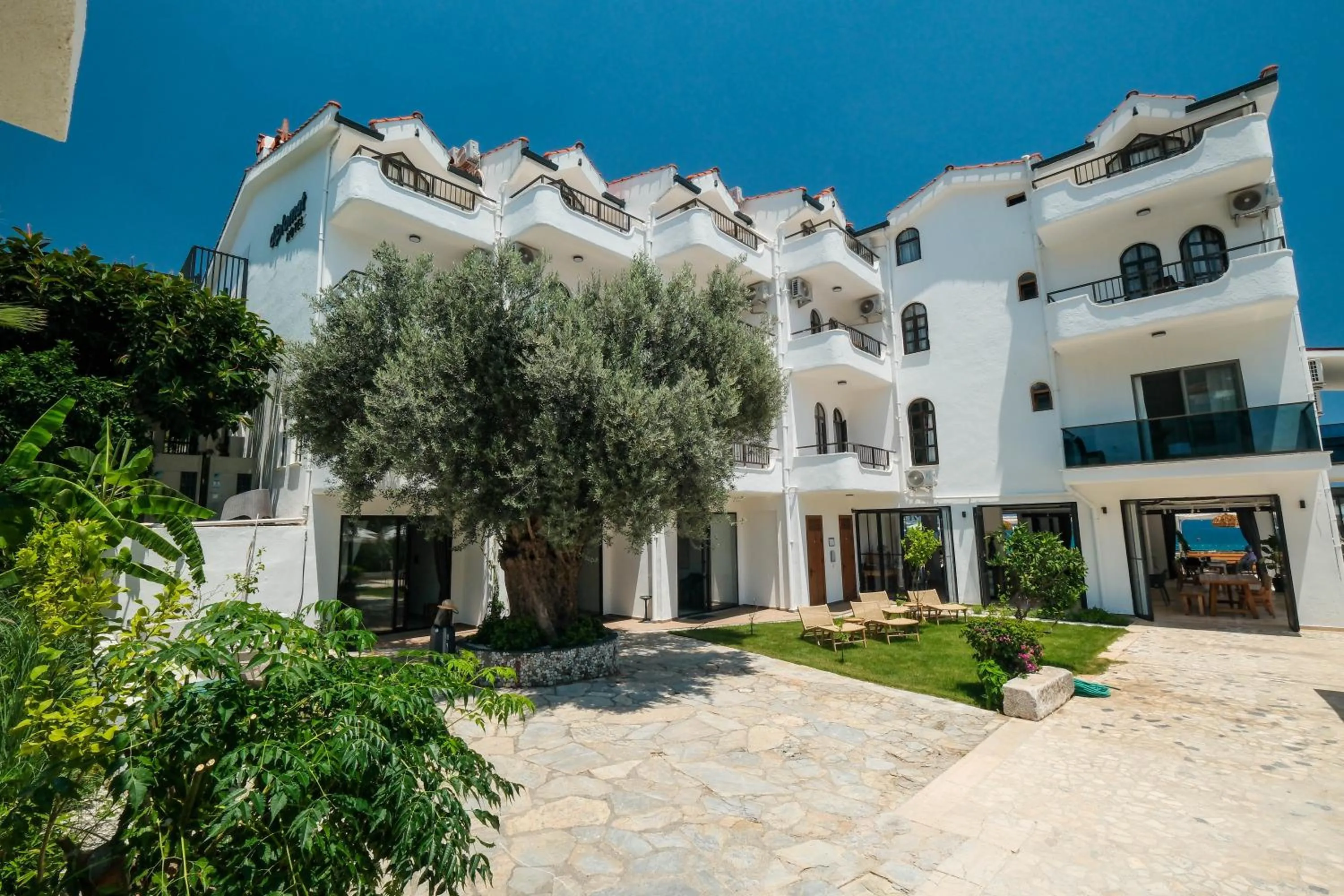 Garden in The Diplomat Hotel