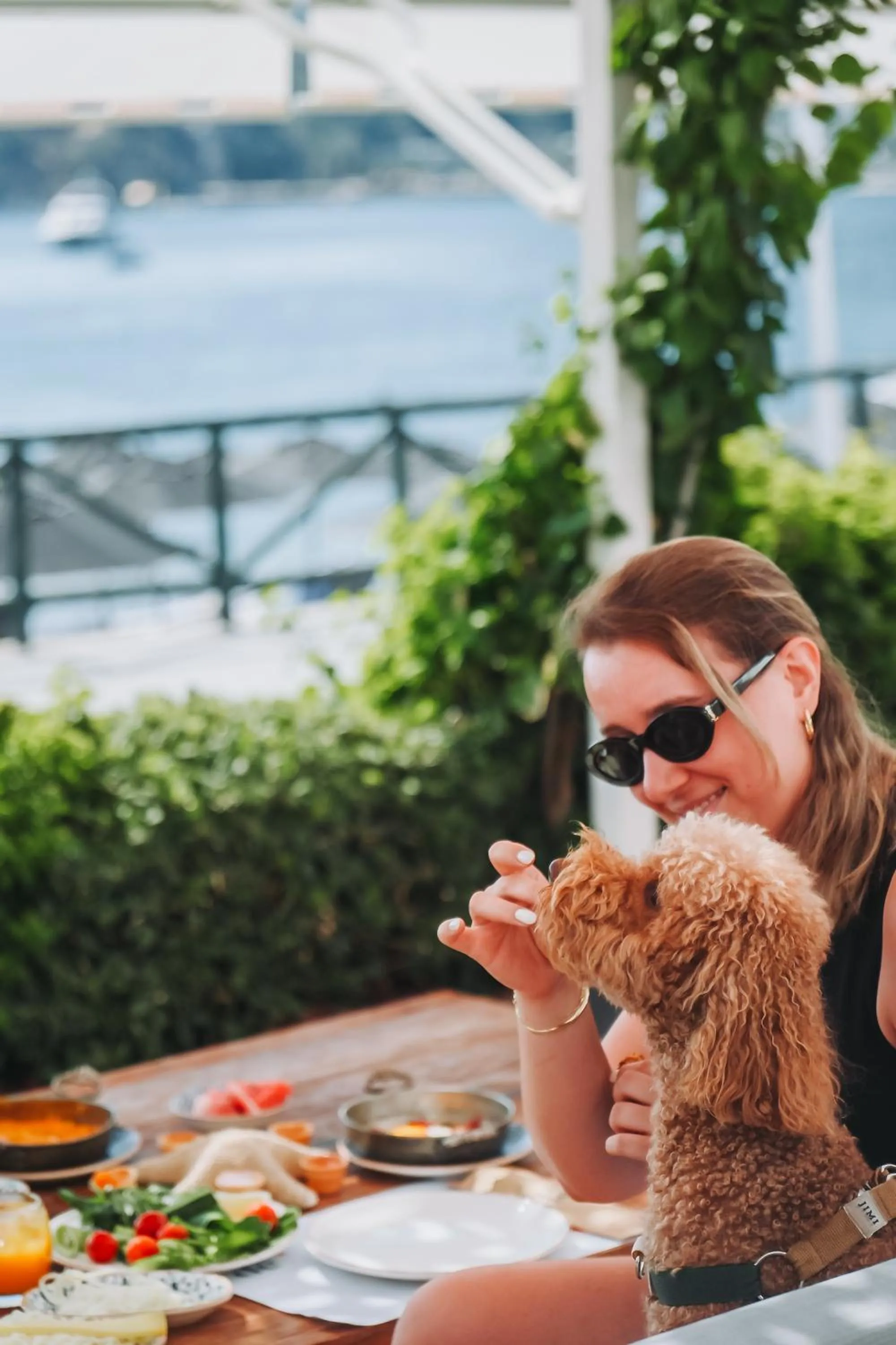 Restaurant/places to eat in The Diplomat Hotel