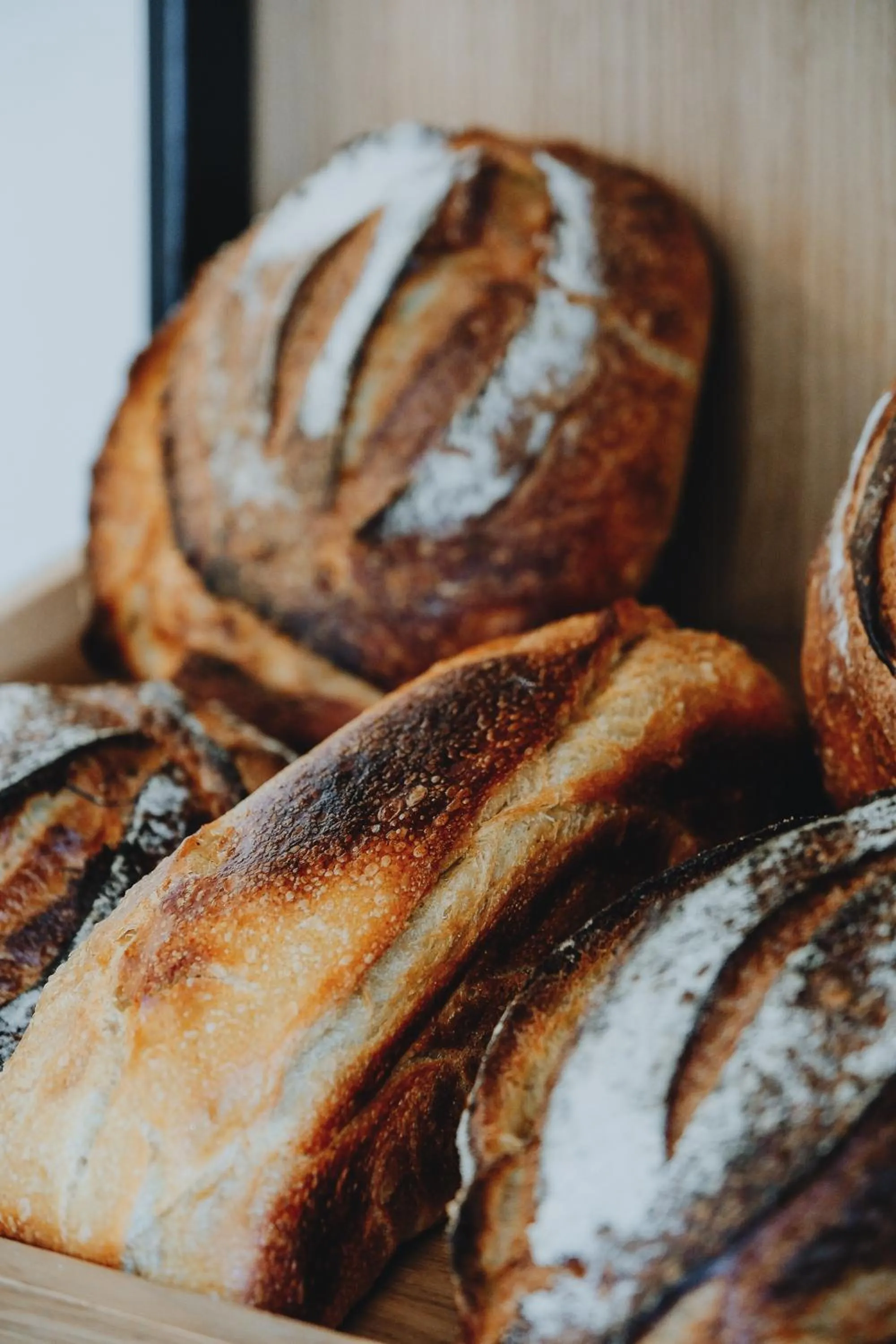 Food close-up in The Diplomat Hotel