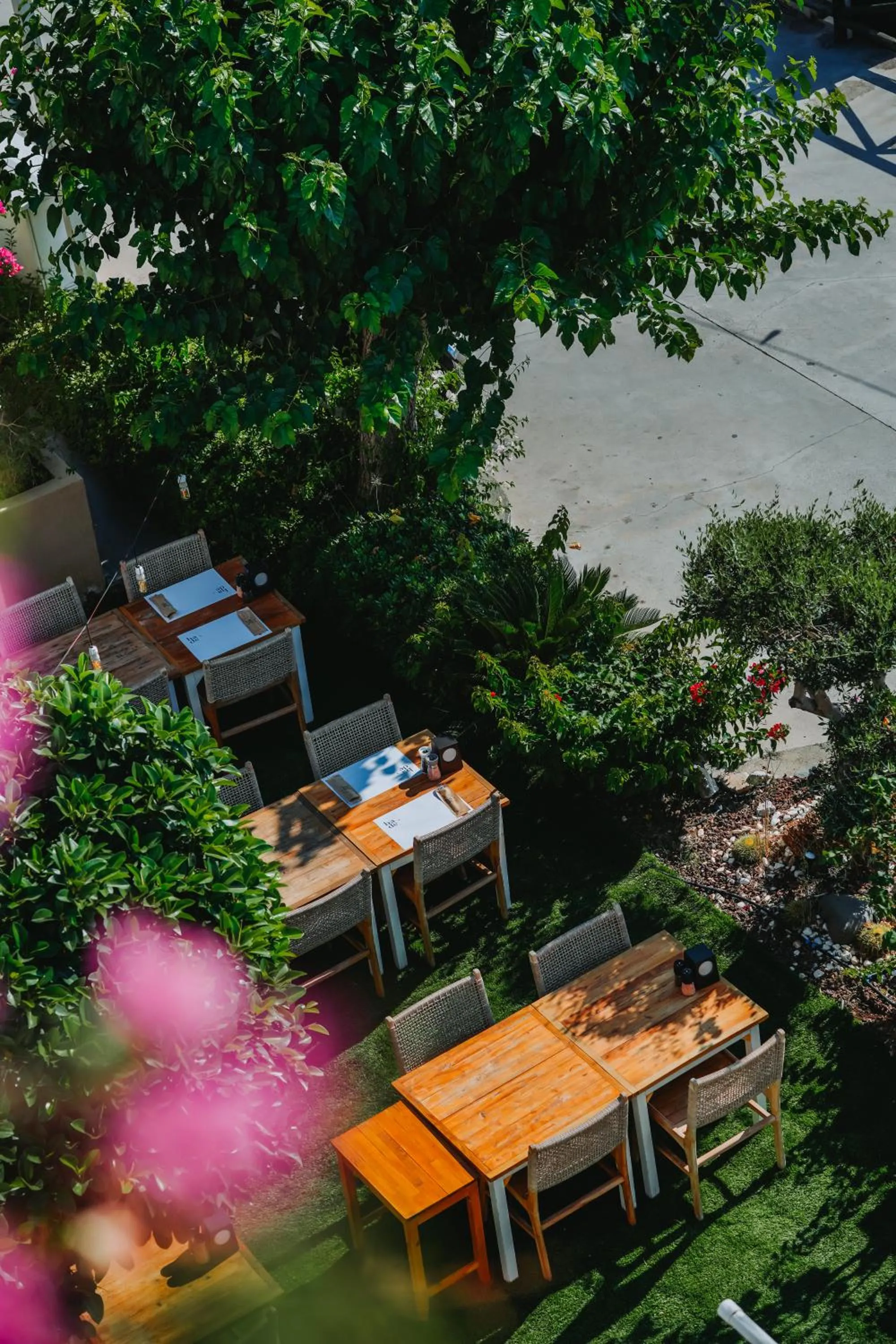 Restaurant/places to eat in The Diplomat Hotel