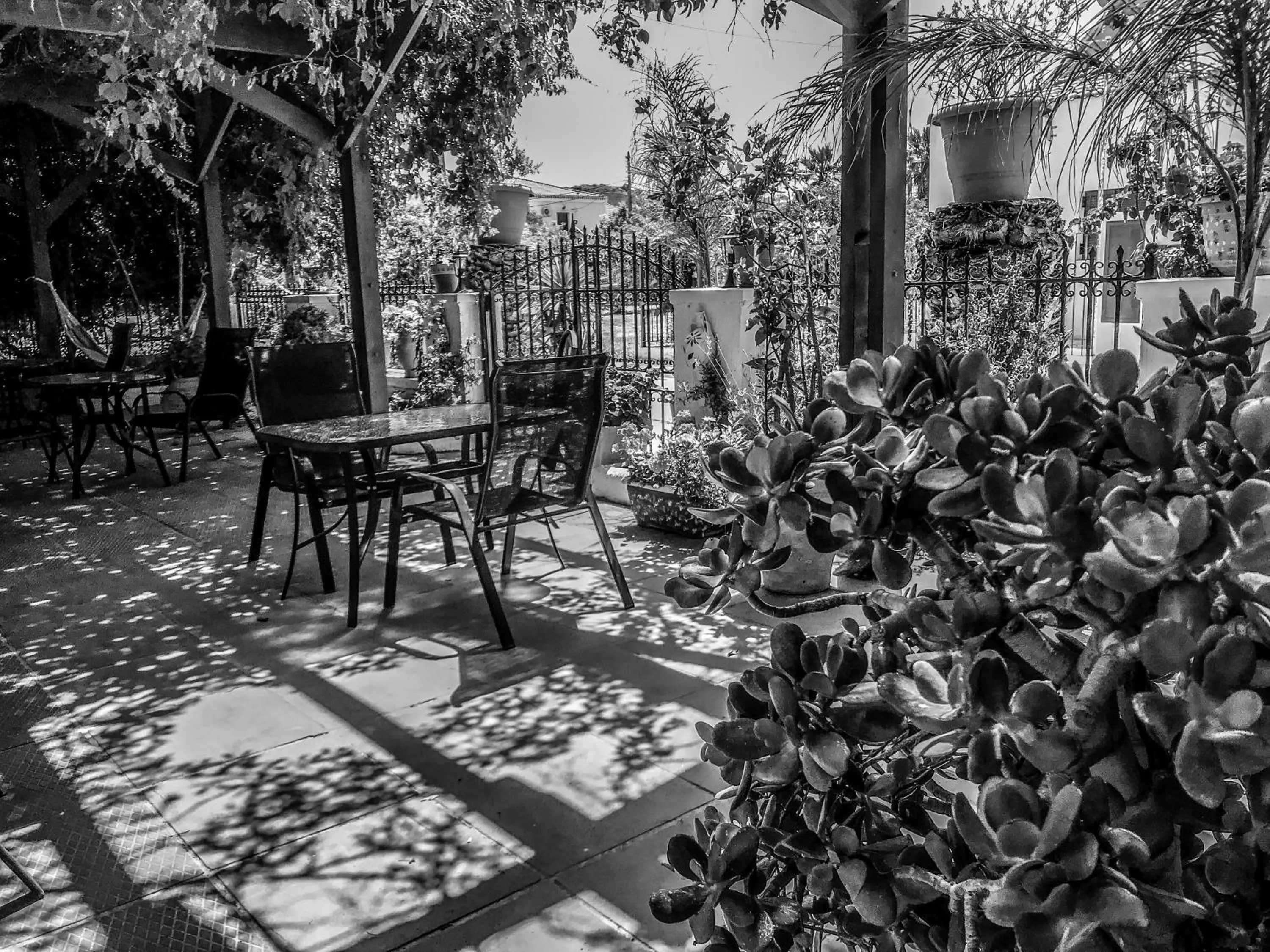 Garden in Ulysses Hotel