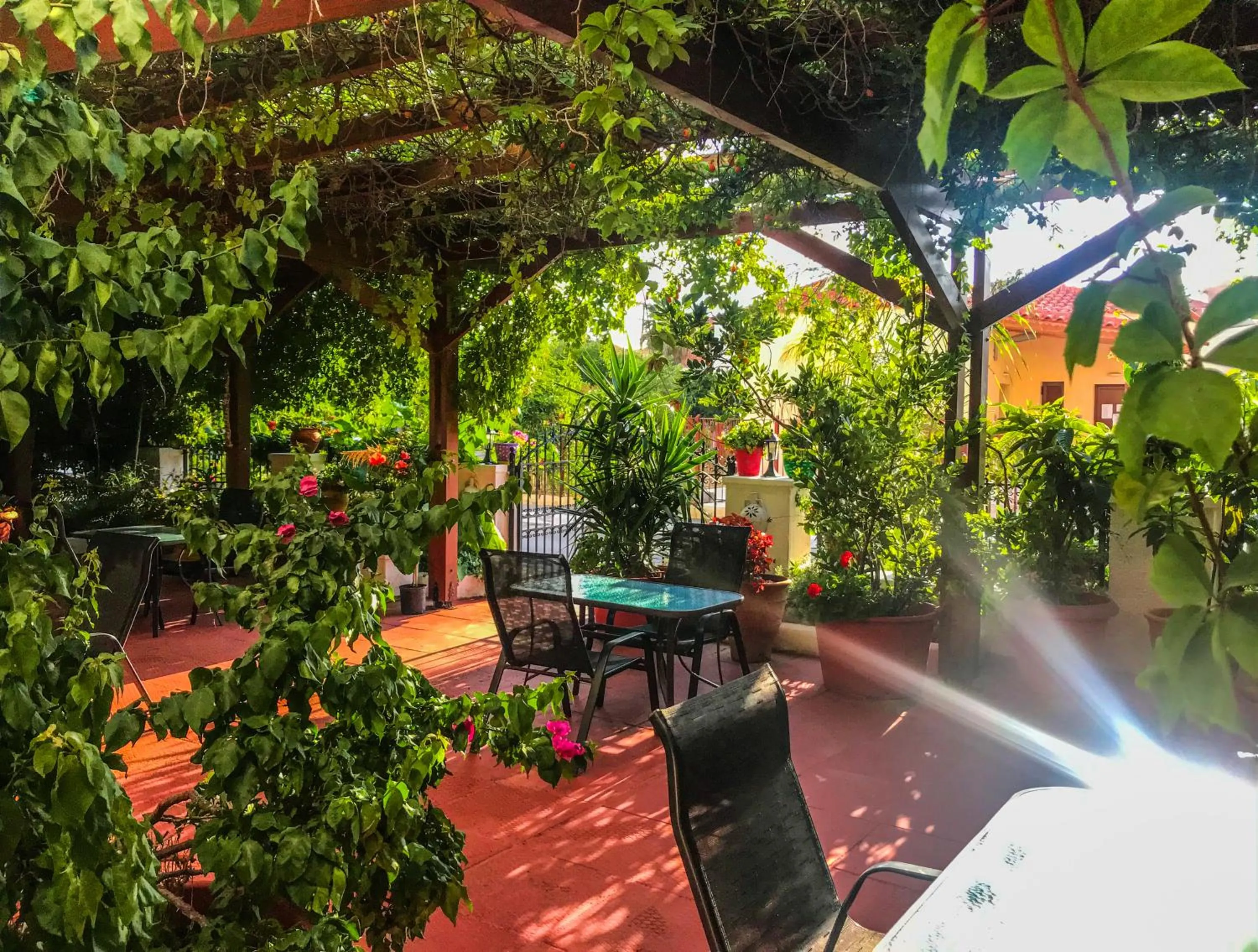 Patio in Ulysses Hotel