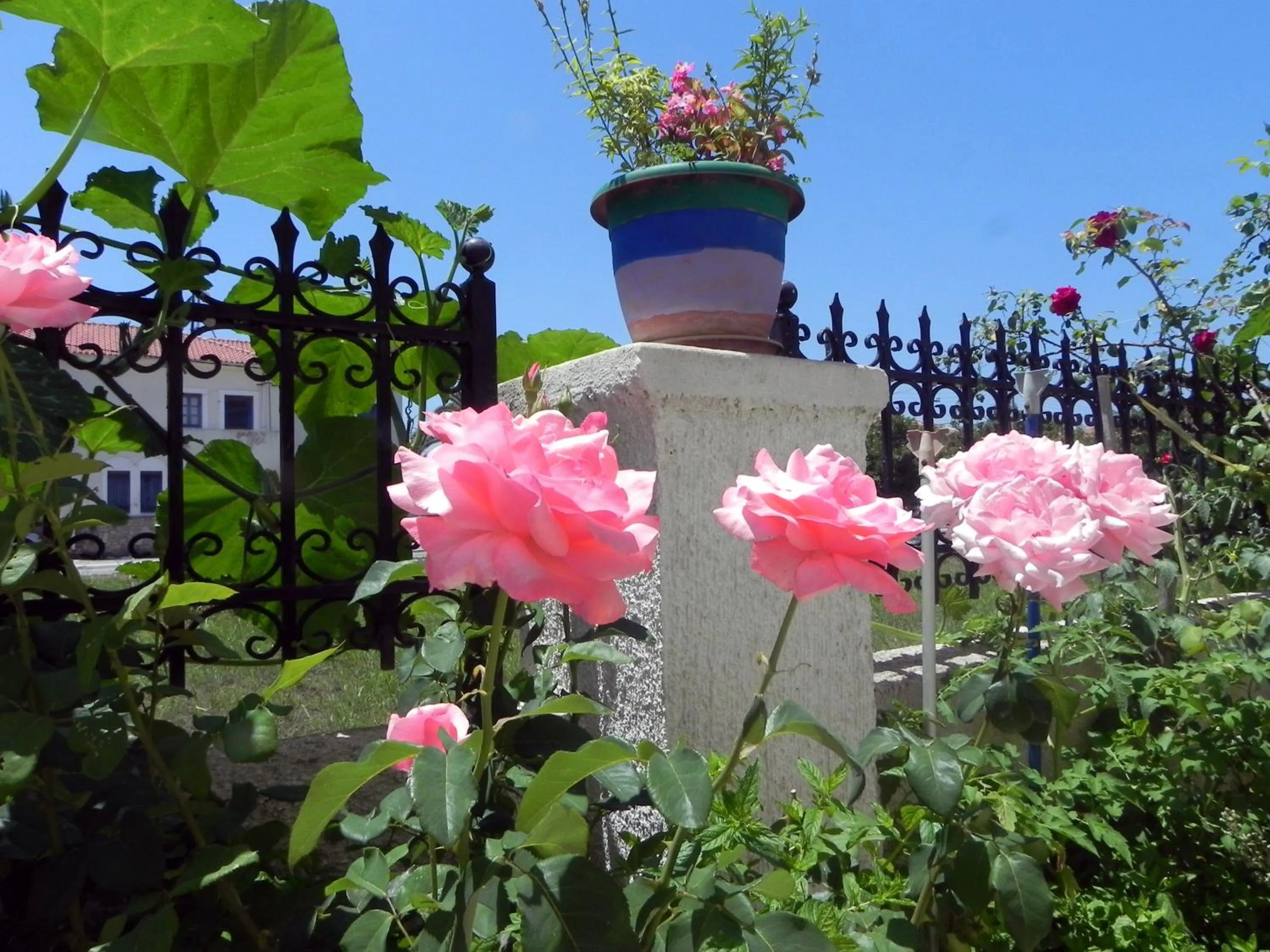 Garden in Ulysses Hotel