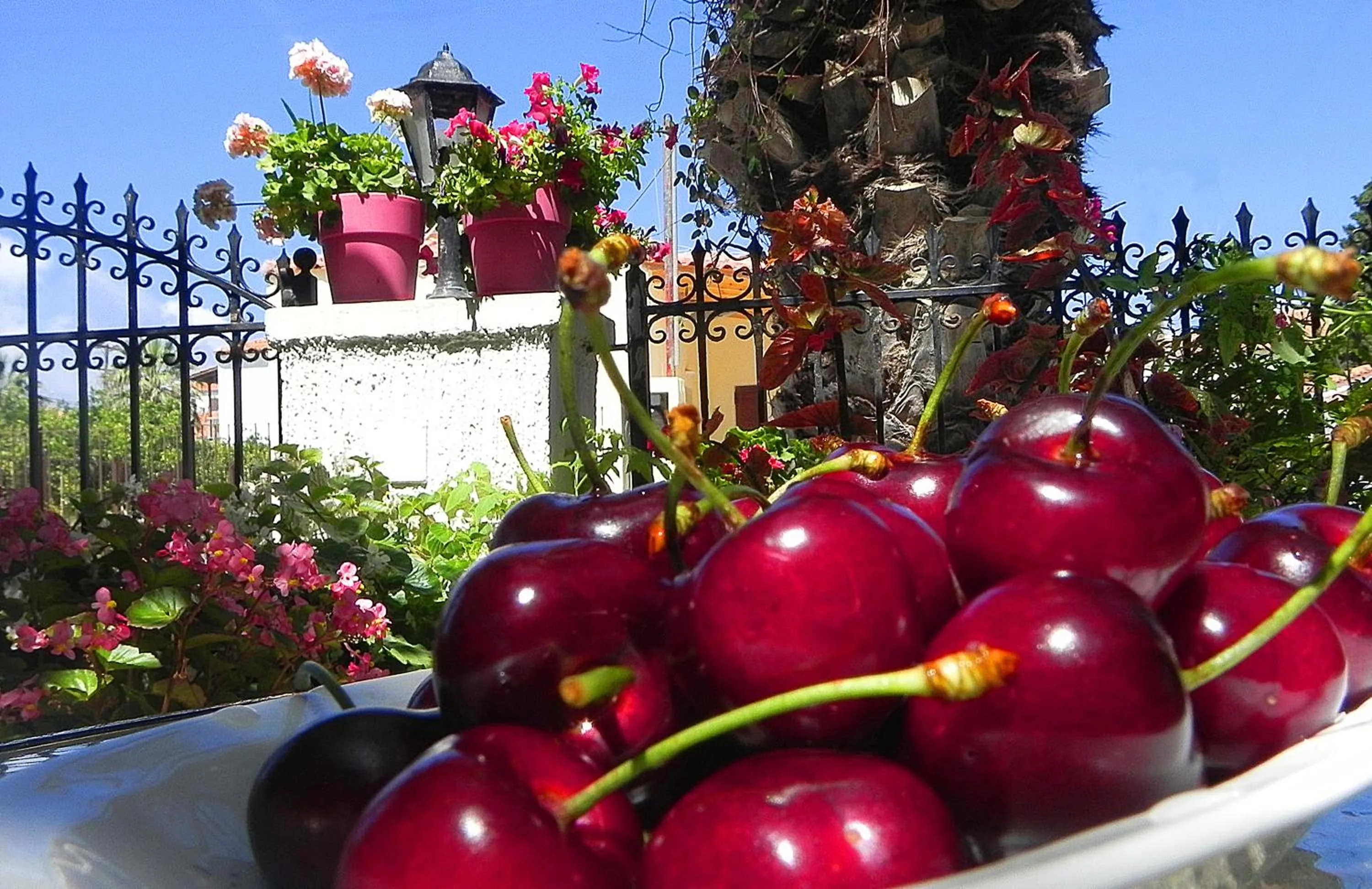 Restaurant/places to eat in Ulysses Hotel