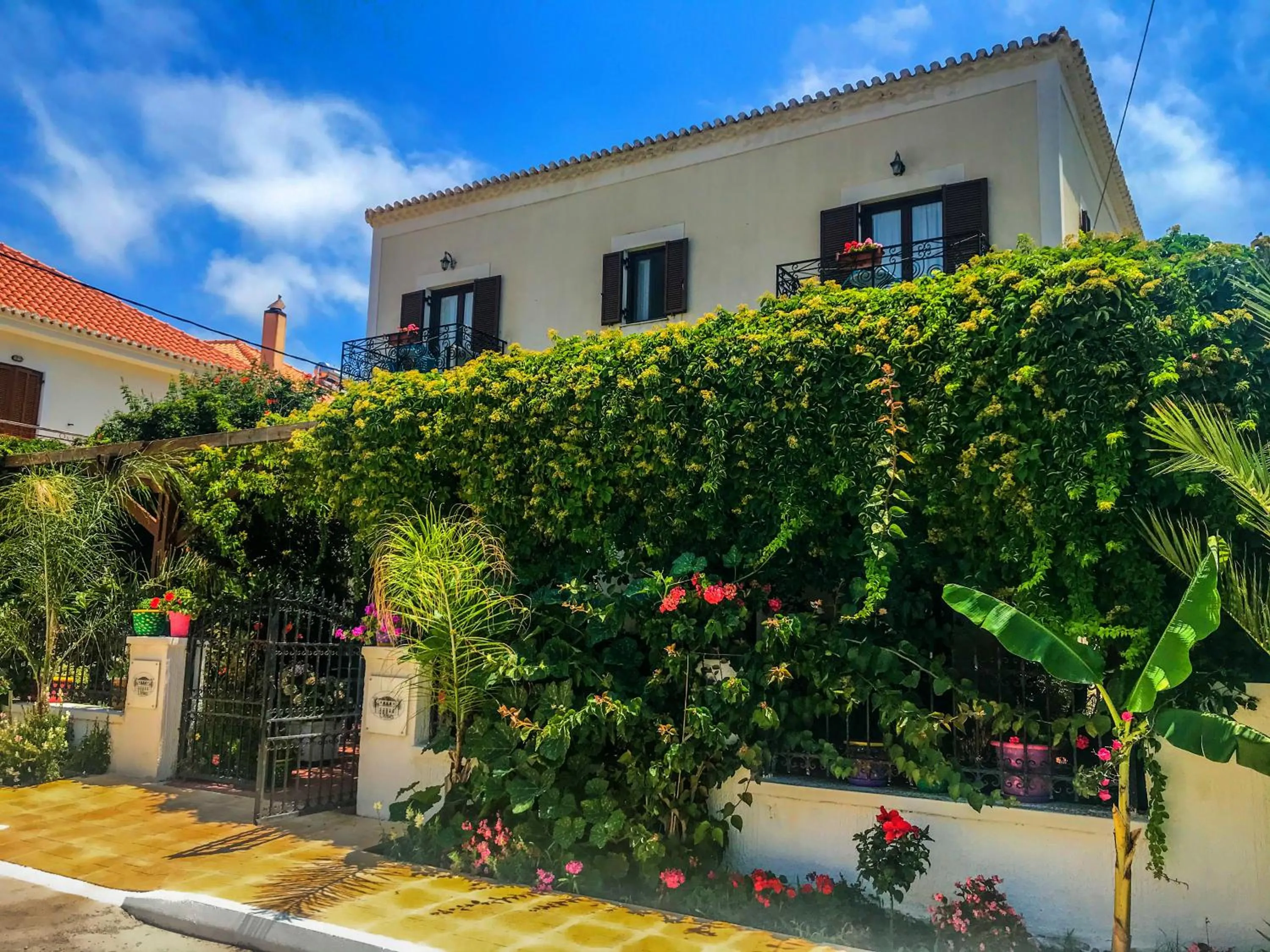 Garden in Ulysses Hotel