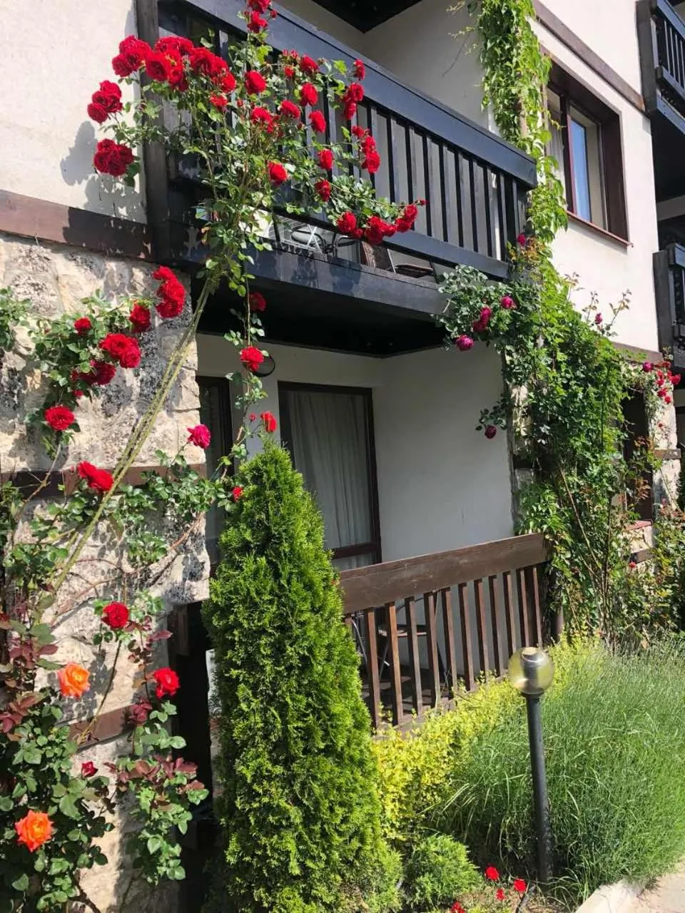 Spring in Hotel Zara