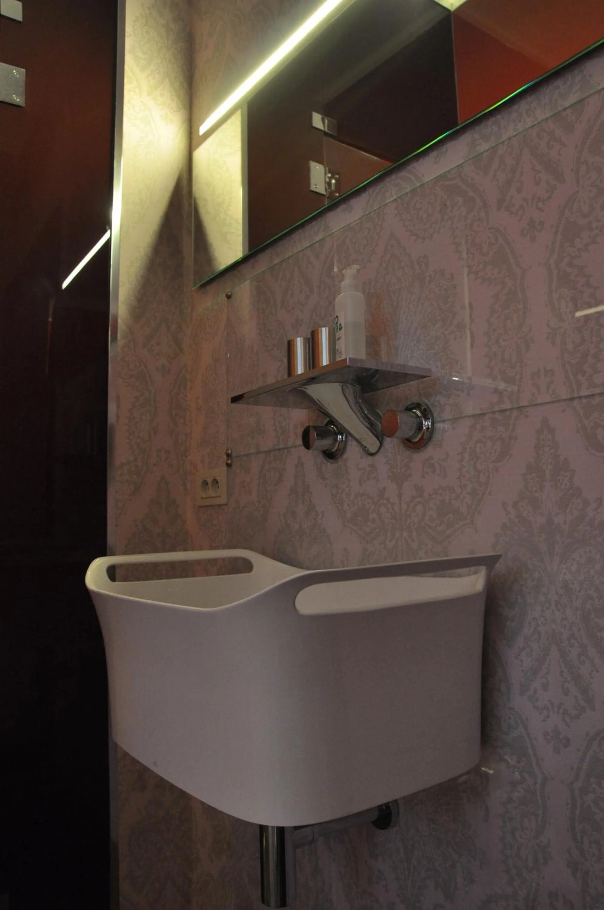 Bathroom in Schopenhauer