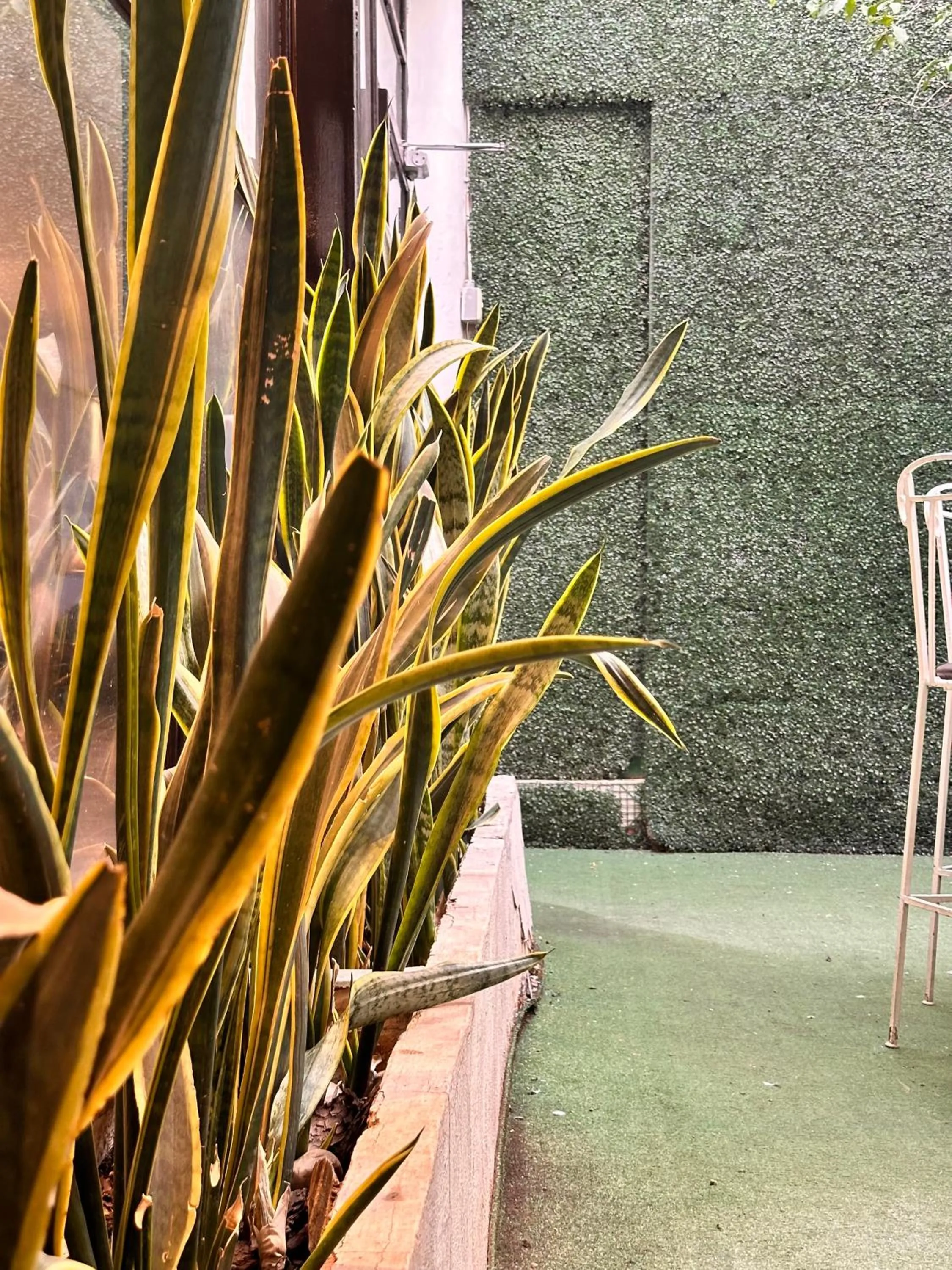 Property building in Hotel del Fresno