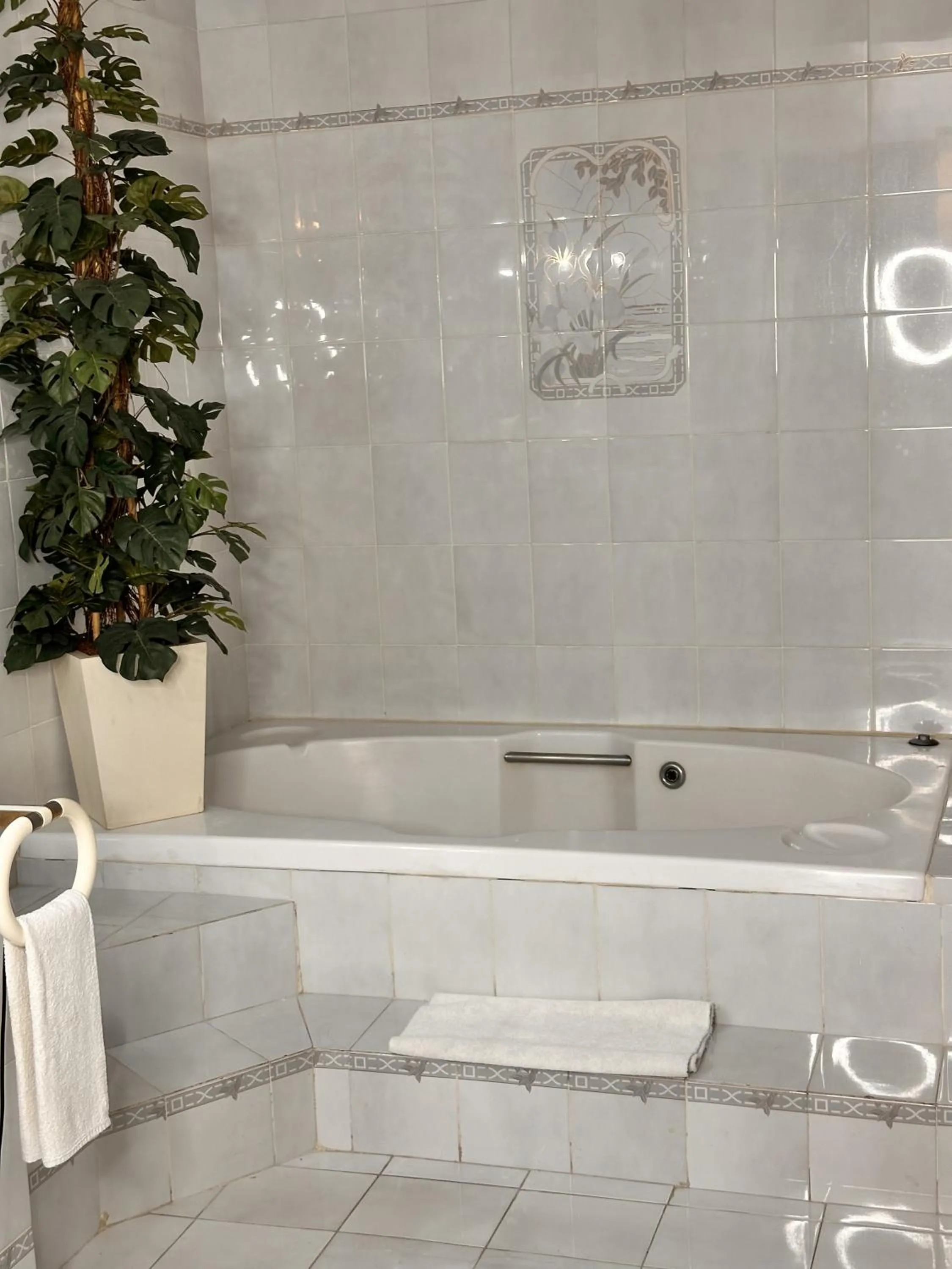 Bathroom in Hotel del Fresno