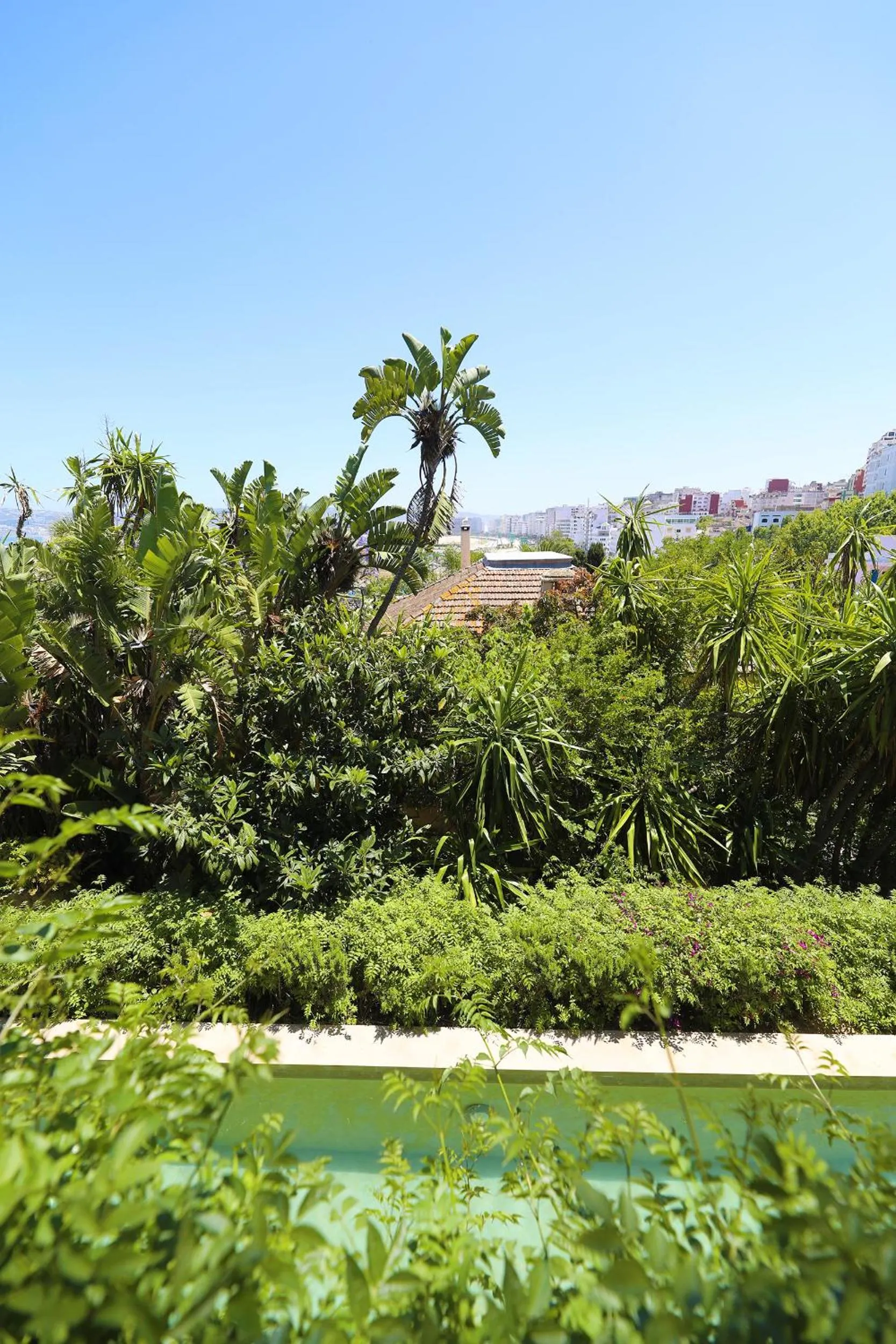 Garden in Mimi Calpe