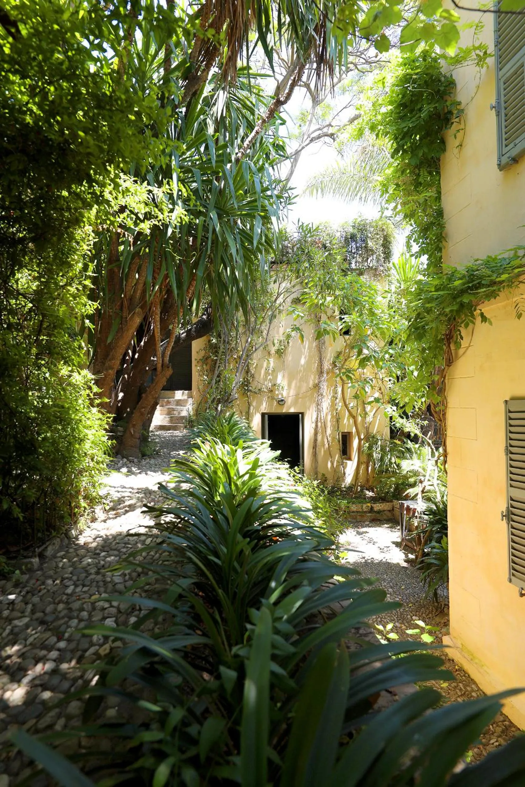Garden in Mimi Calpe