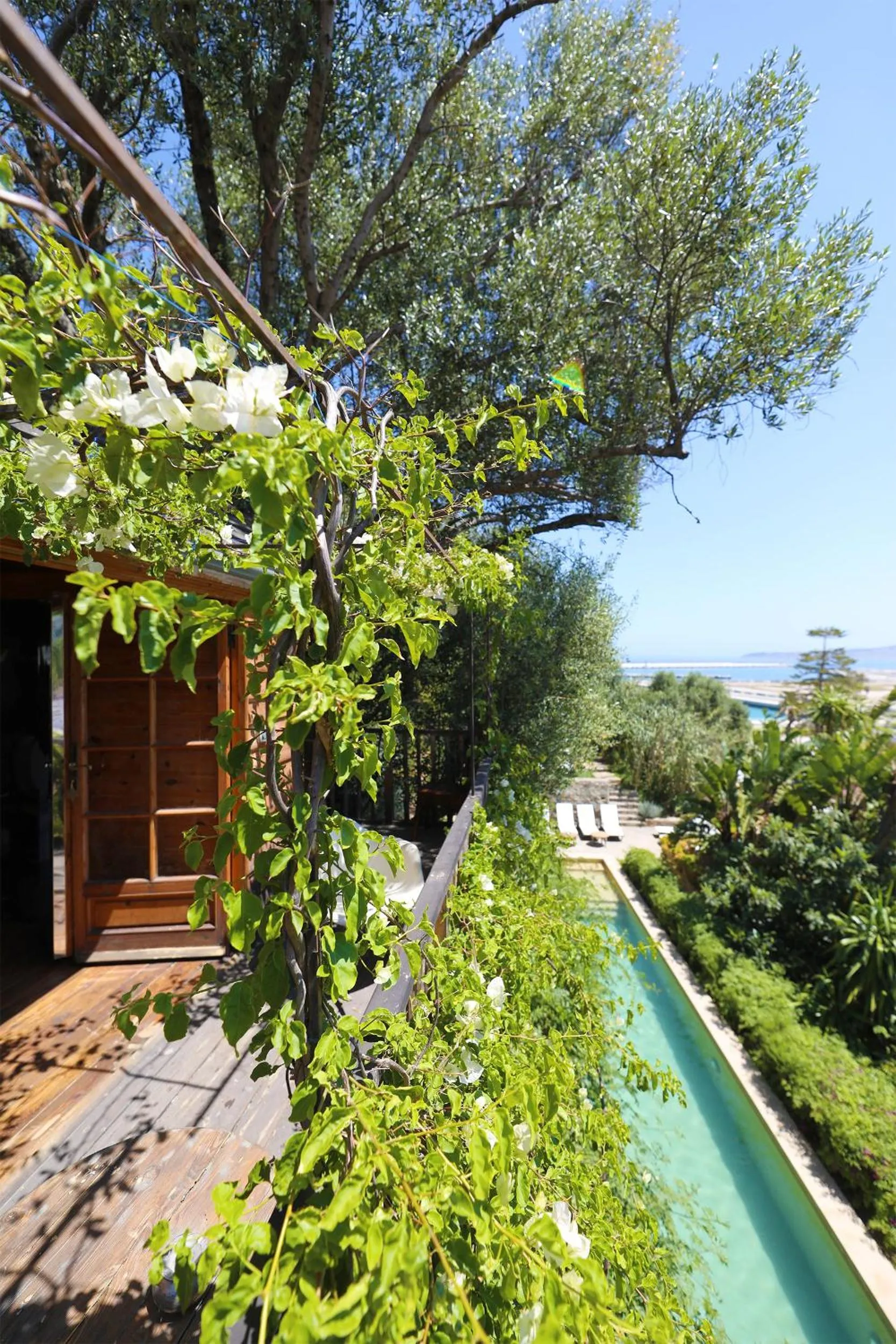 Sea view in Mimi Calpe