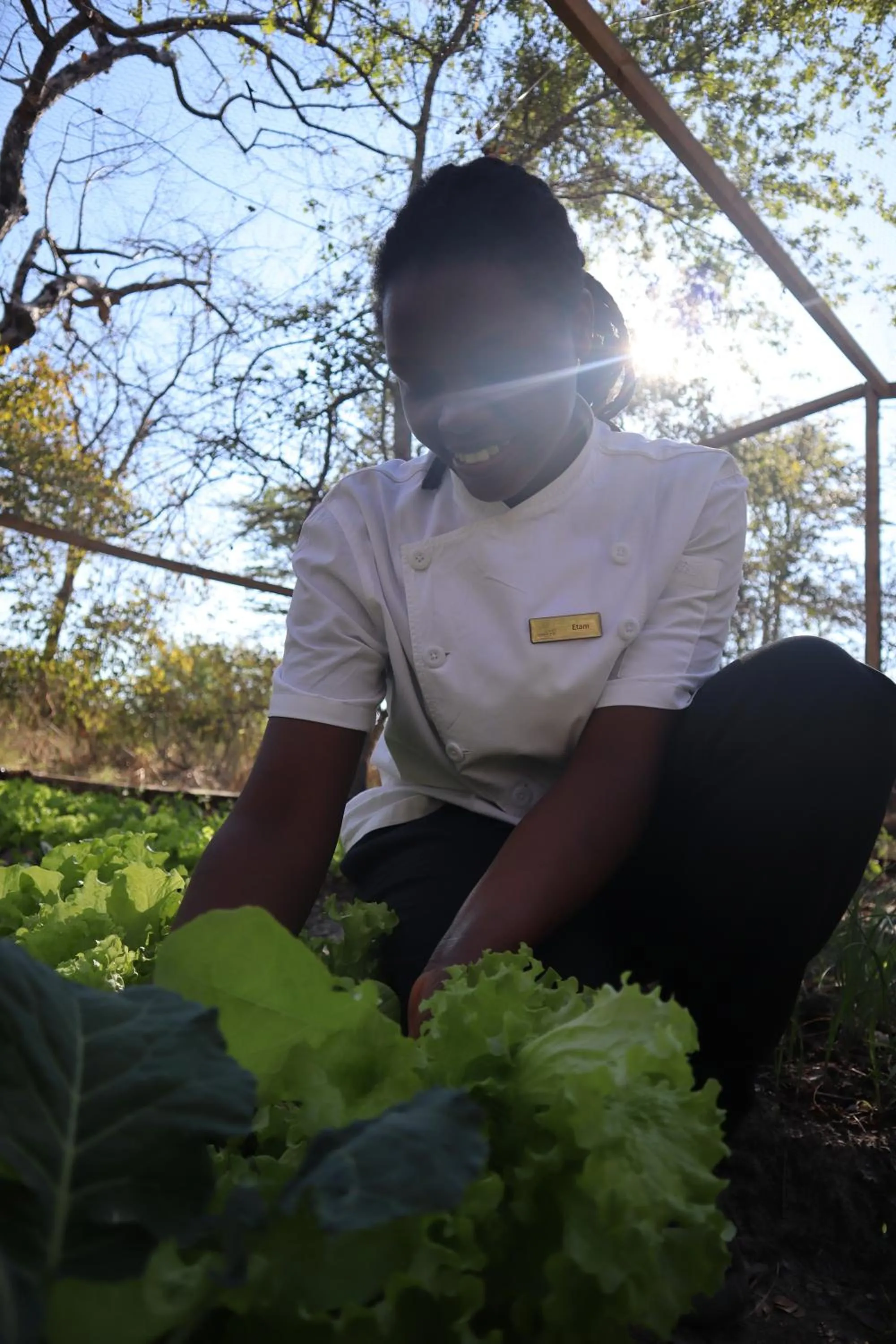 Garden in Zambezi Dusk River Facing-all inclusive-Luxury Accommodation