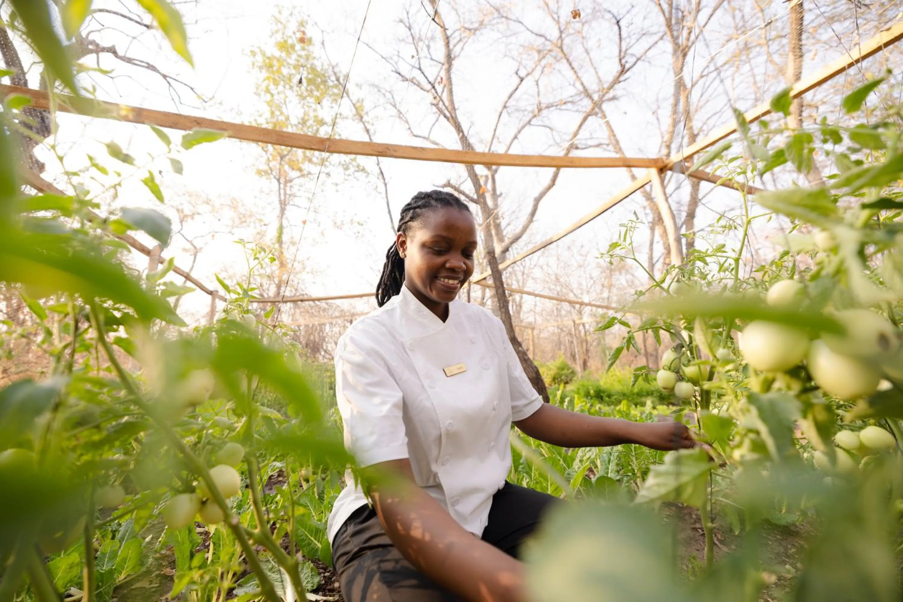 Natural landscape in Zambezi Dusk River Facing-all inclusive-Luxury Accommodation