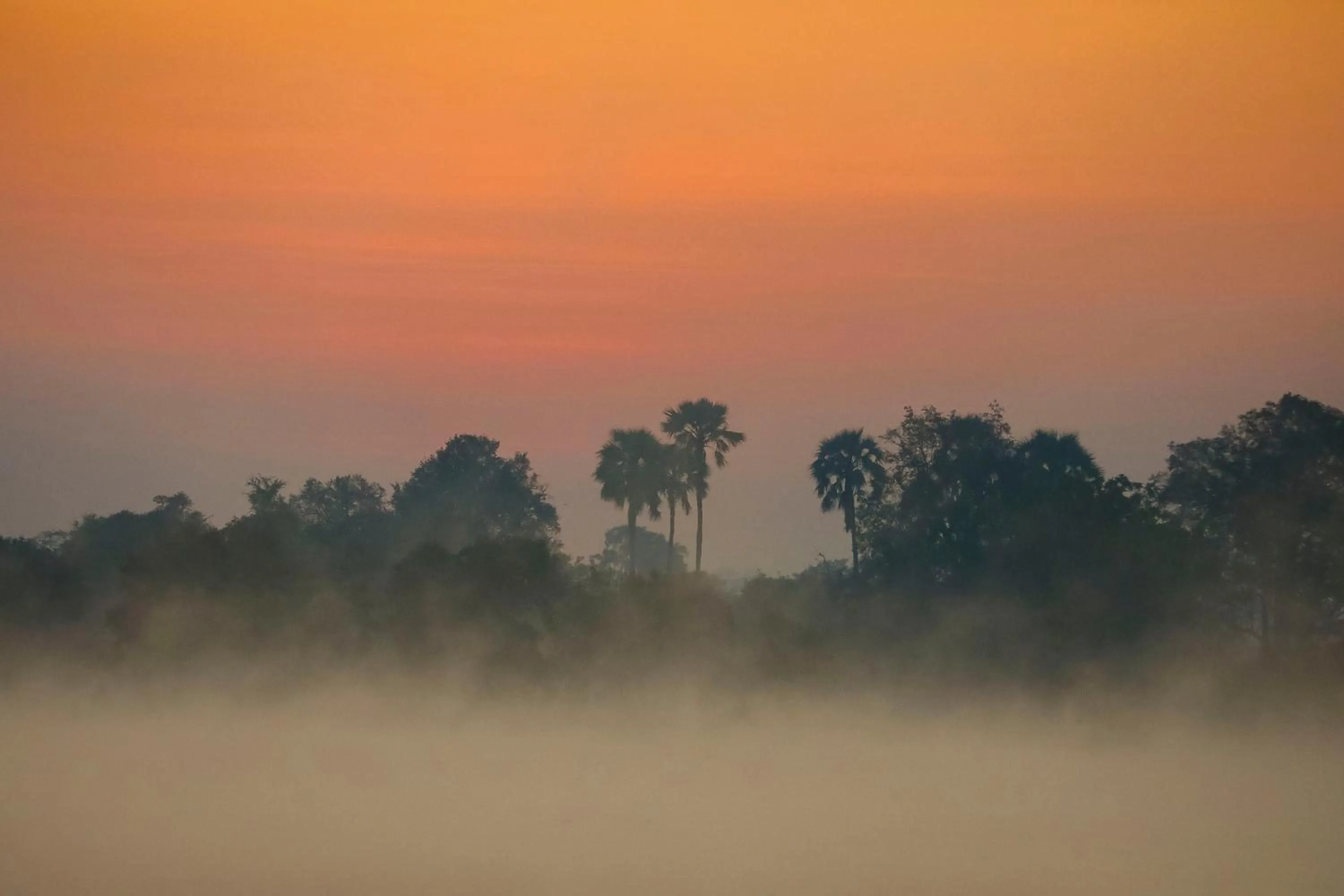 Sunrise in Zambezi Dusk River Facing-all inclusive-Luxury Accommodation