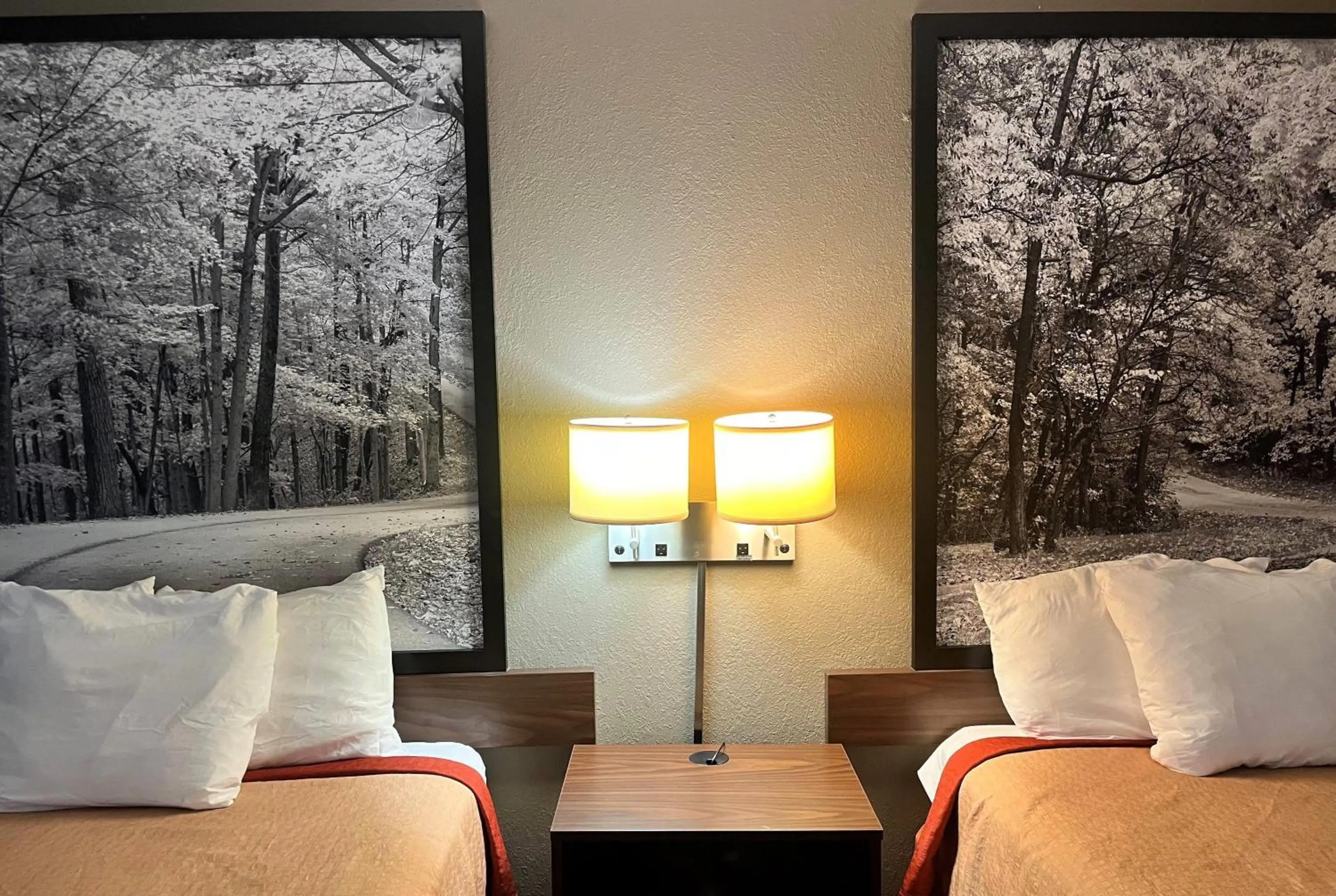 Photo of the whole room, Bed in Super 8 by Wyndham Evansville North