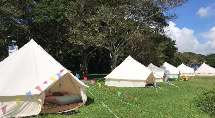 Glamping kaki singapore-Standard medium bell tent