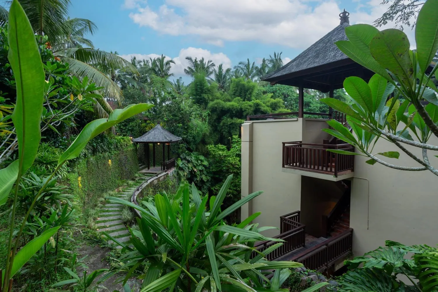 Natural landscape in Semana Residences by Cove