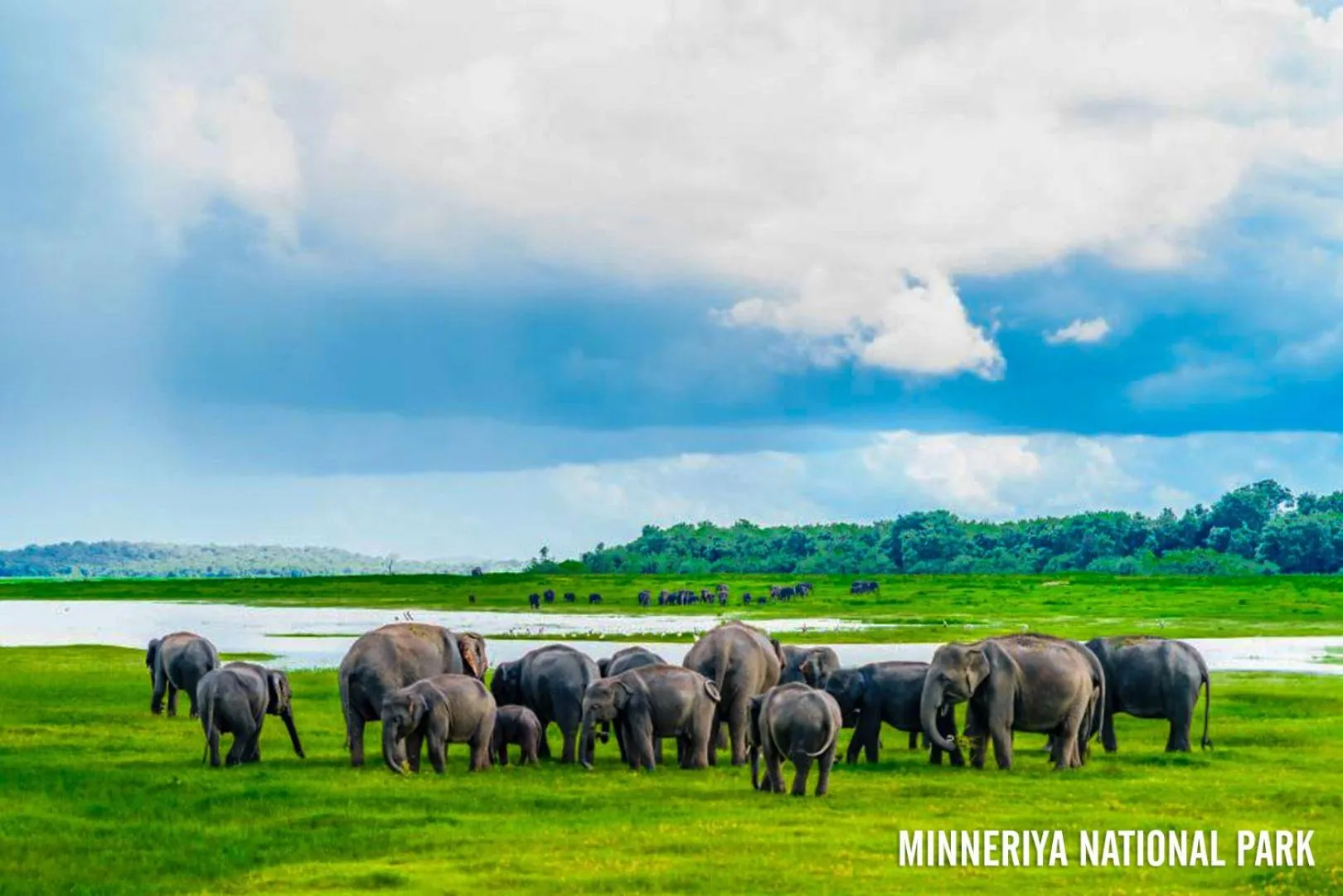 Natural landscape in Sigiriya Forest Edge By Marino Leisure