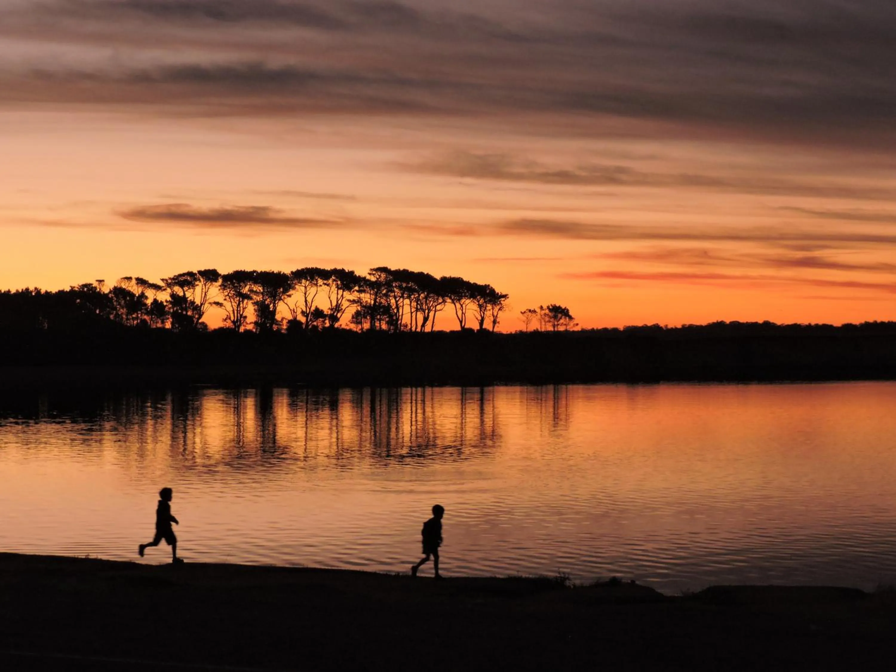 Activities in Hale Lau