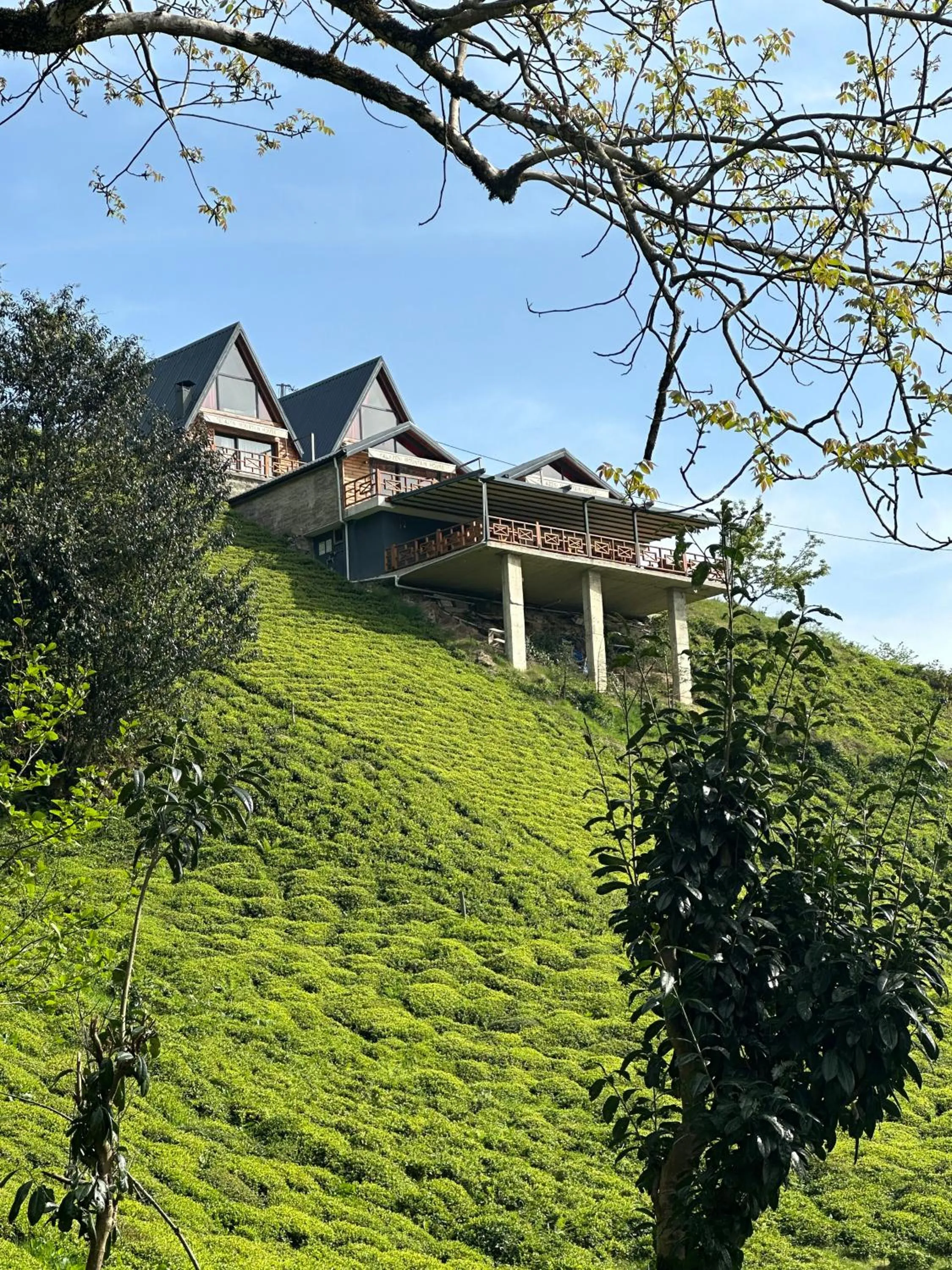 Property building in PUGARi HOTEL