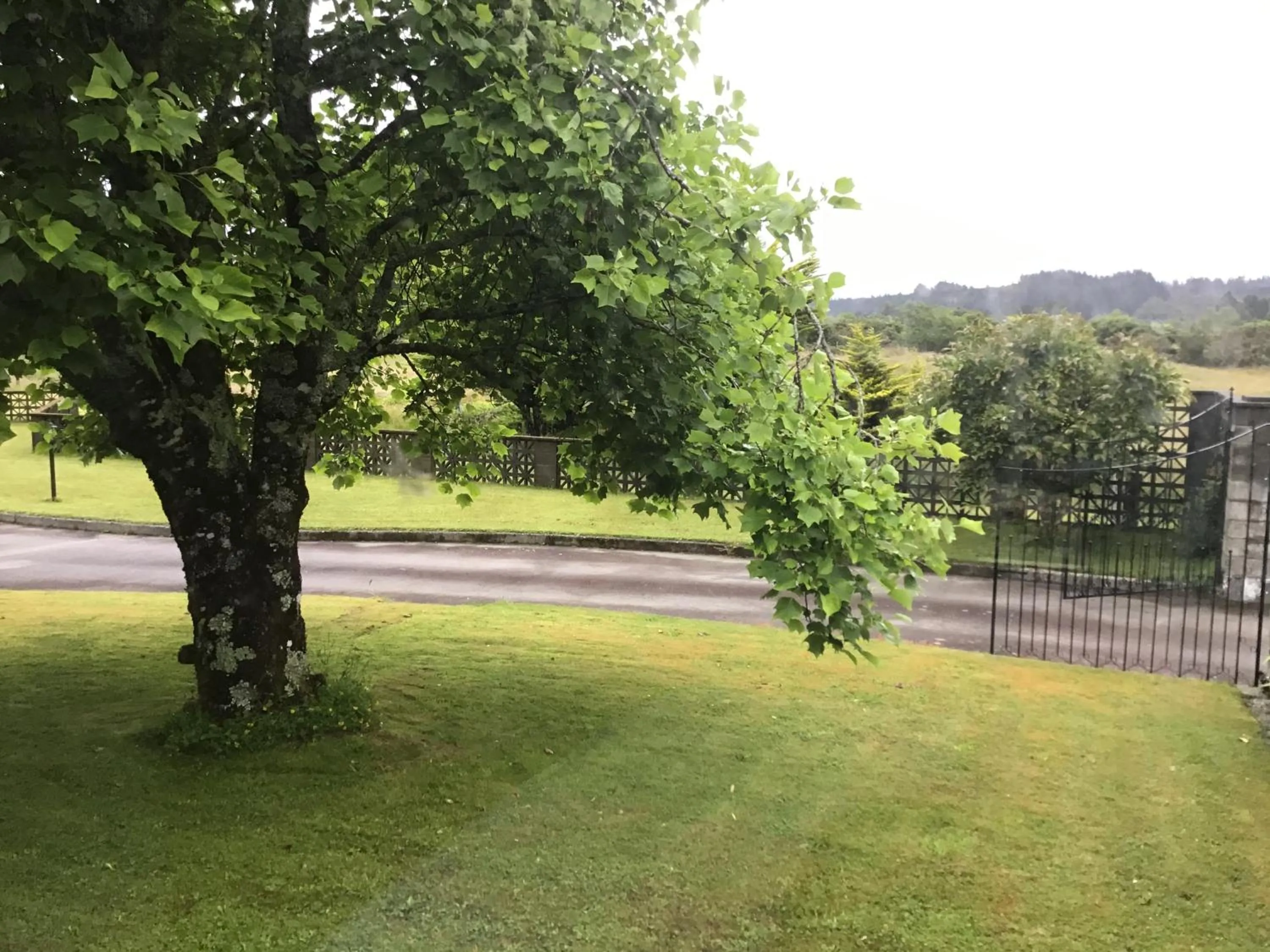 Natural landscape in Woodland Glen Lodge B&B