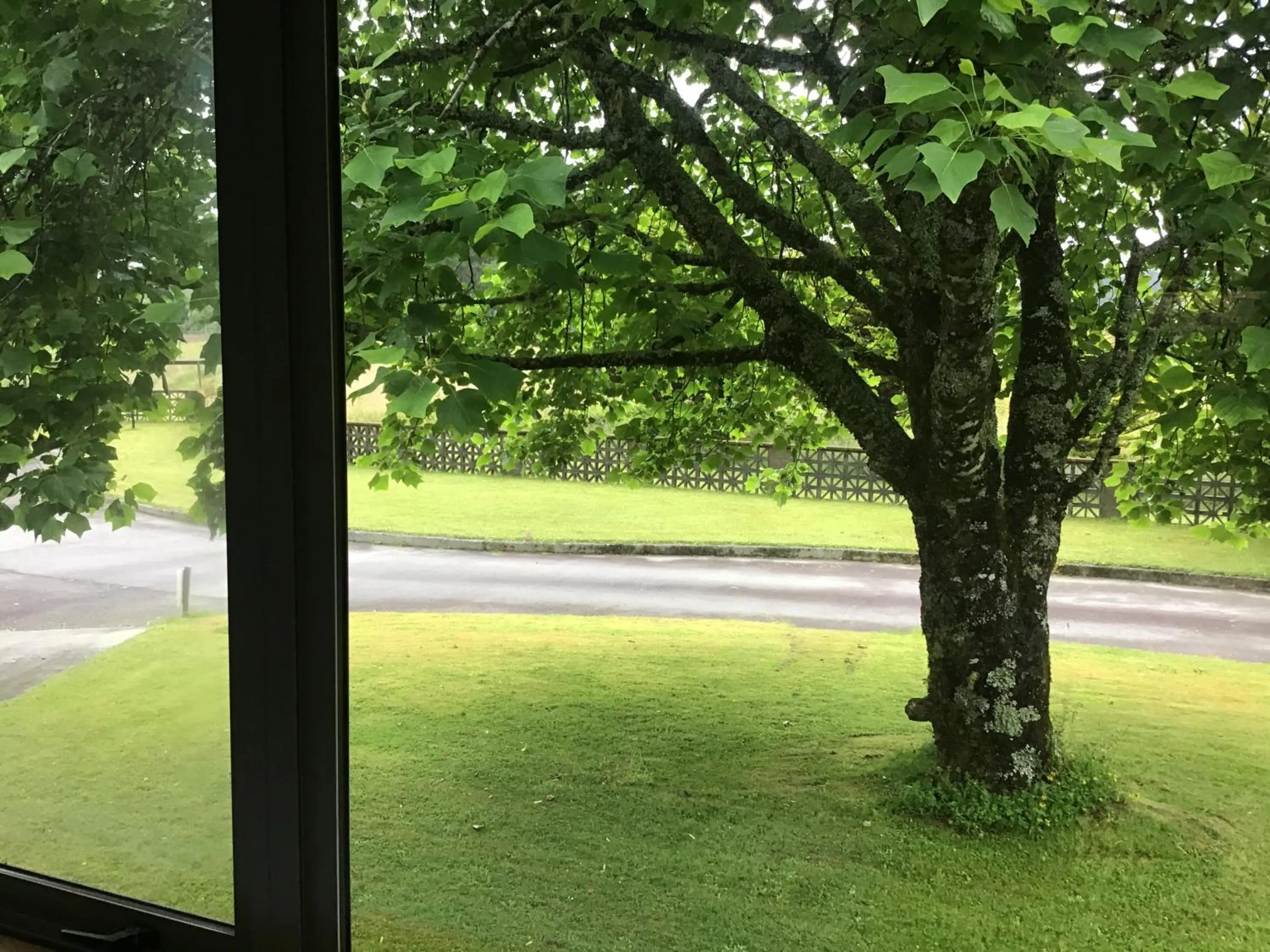 Natural landscape in Woodland Glen Lodge B&B