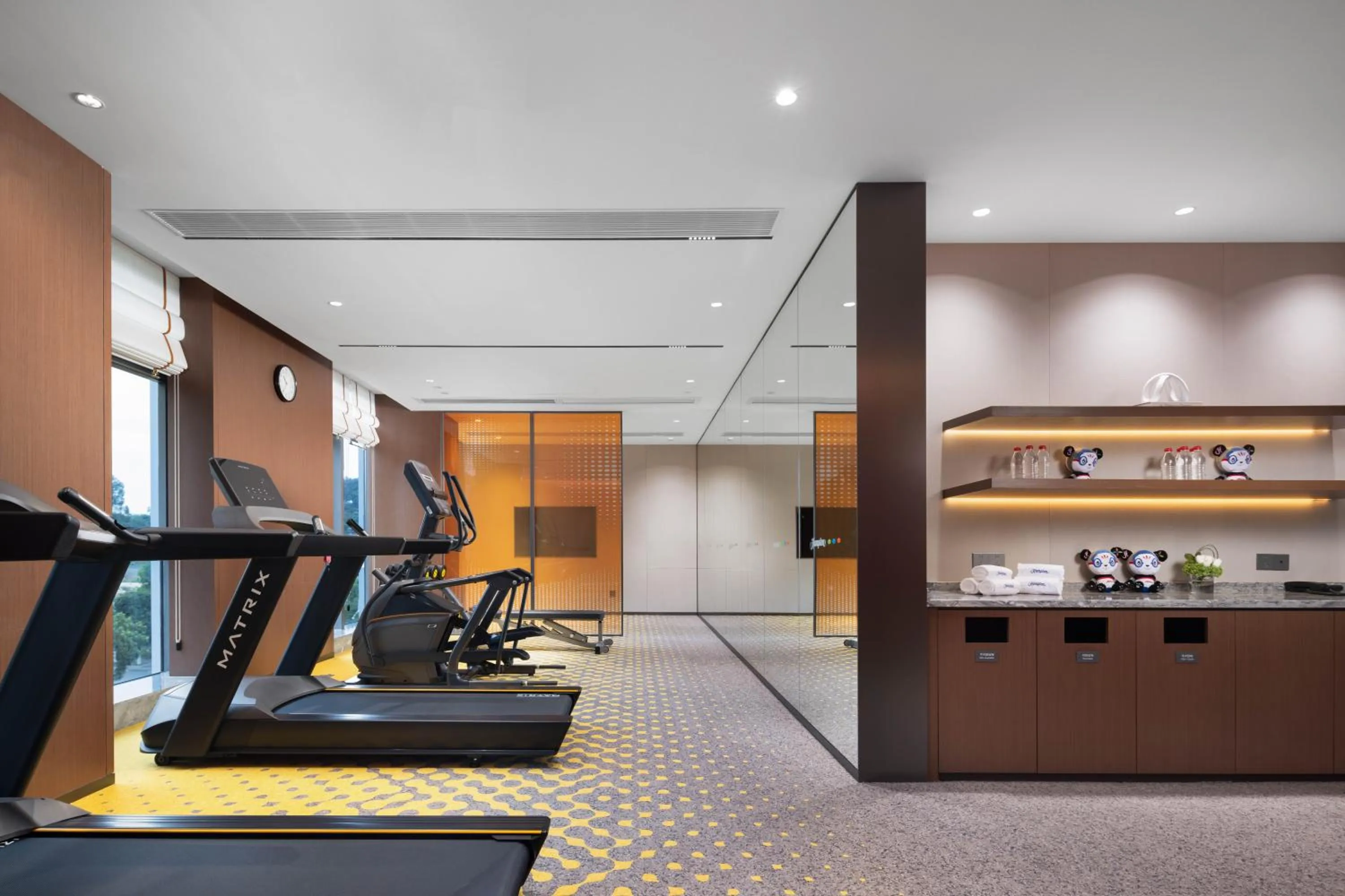Fitness centre/facilities in Hampton by Hilton Dongguan Liaobu Songshan Lake Avenue