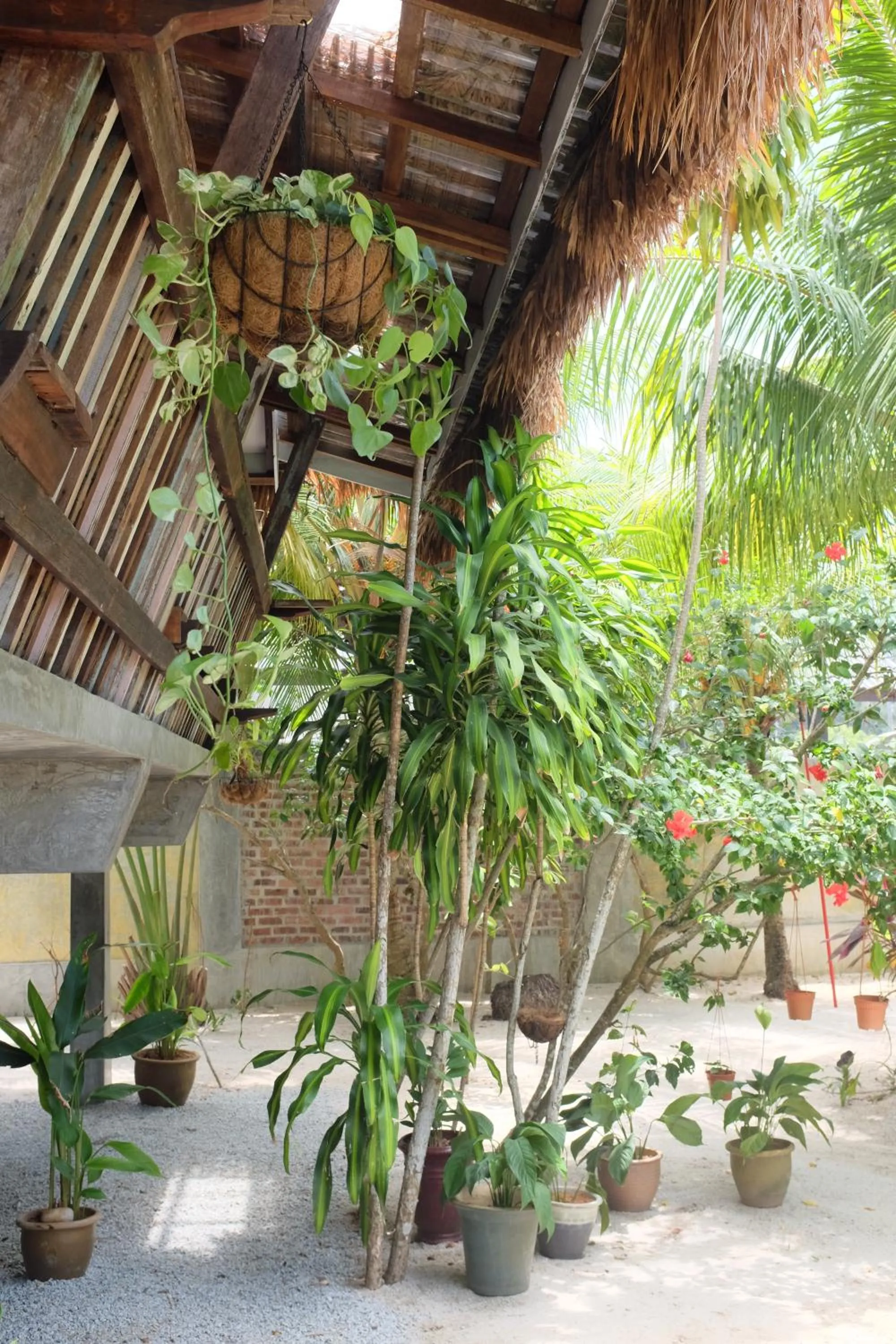 Property building in Panji Panji Tropical Wooden Home