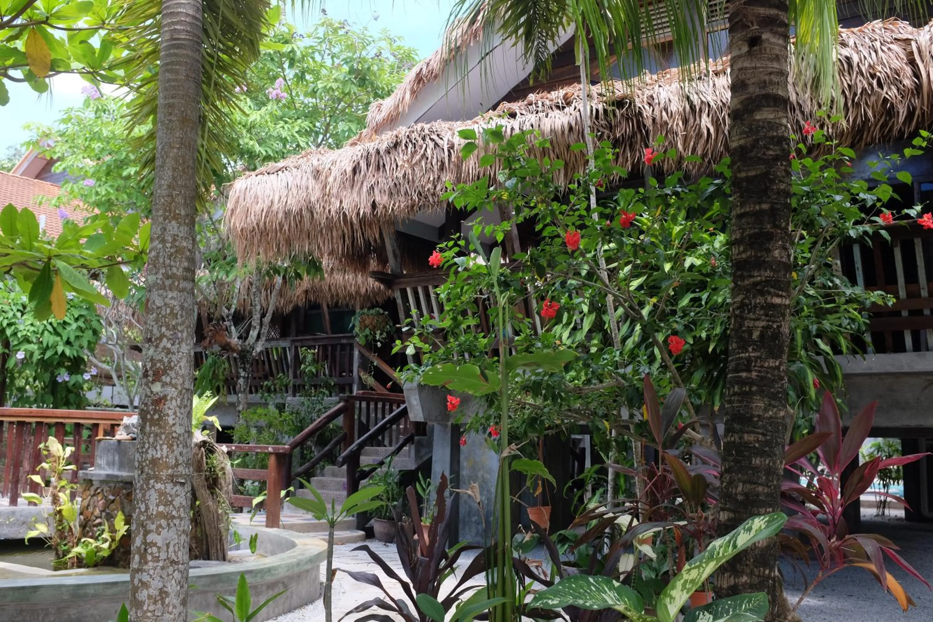 Garden view in Panji Panji Tropical Wooden Home