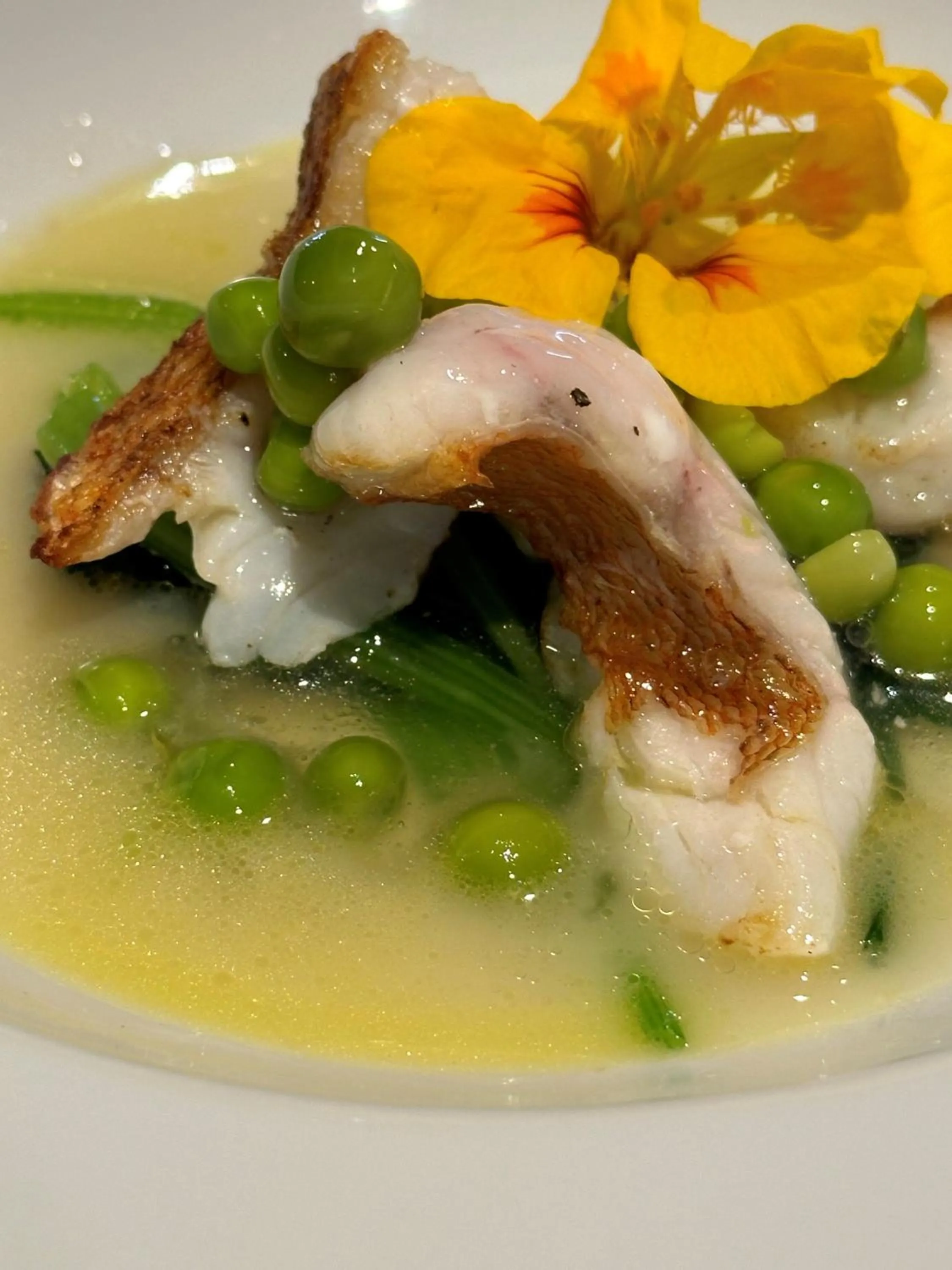 Restaurant/places to eat in Hotel CASA VICO