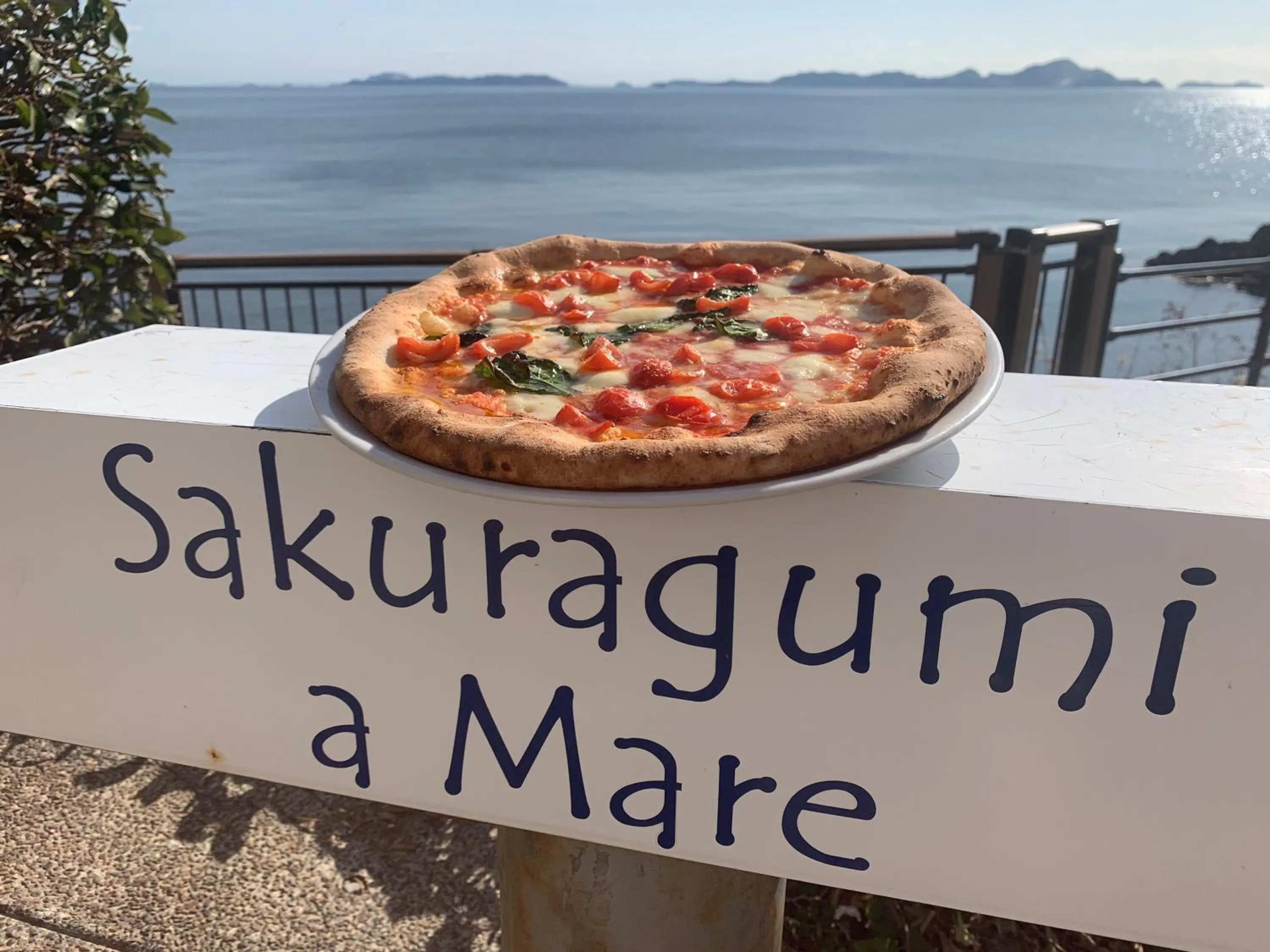 Restaurant/places to eat in Hotel CASA VICO