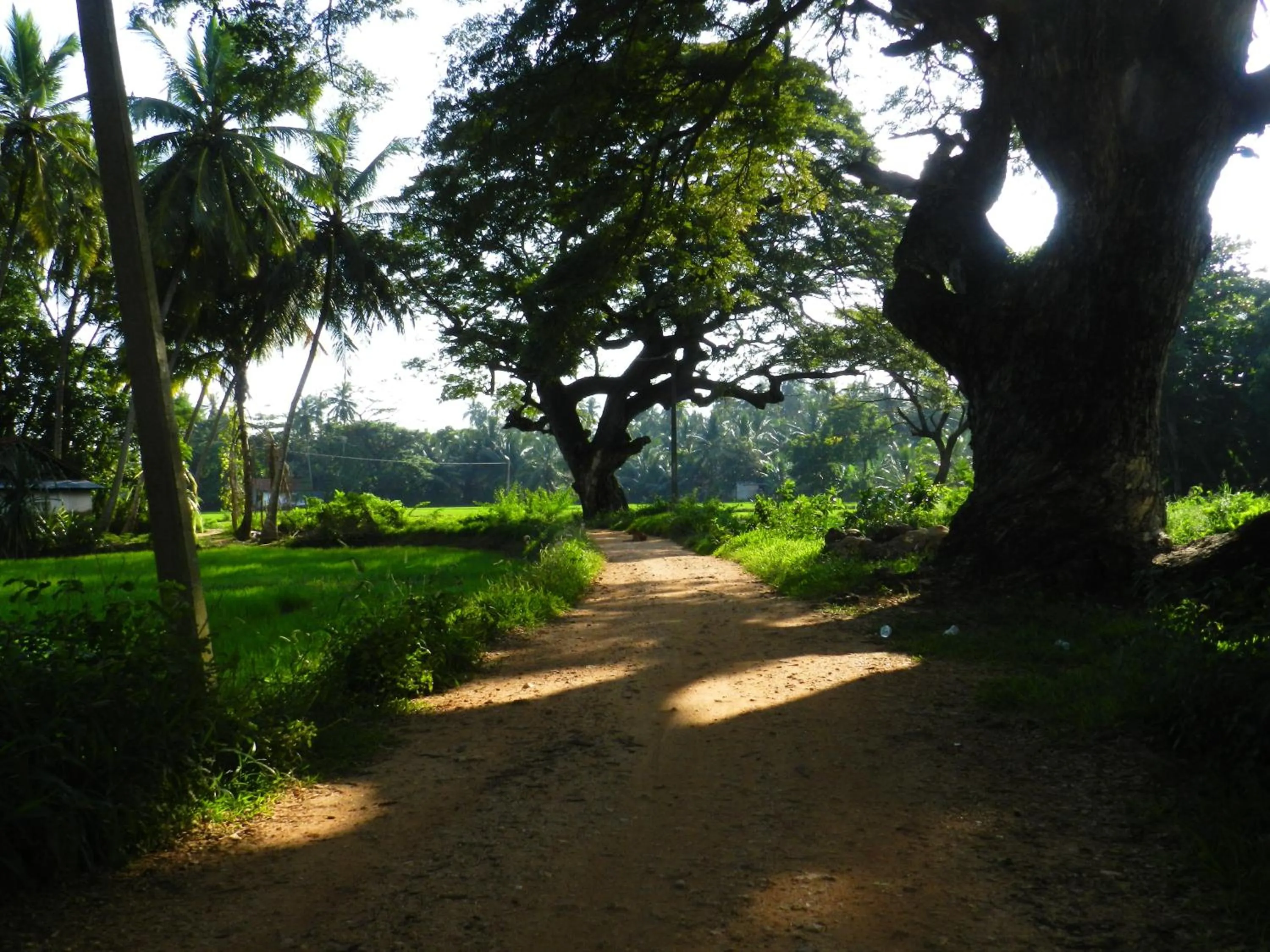 Day in Traveller's Home Hotel