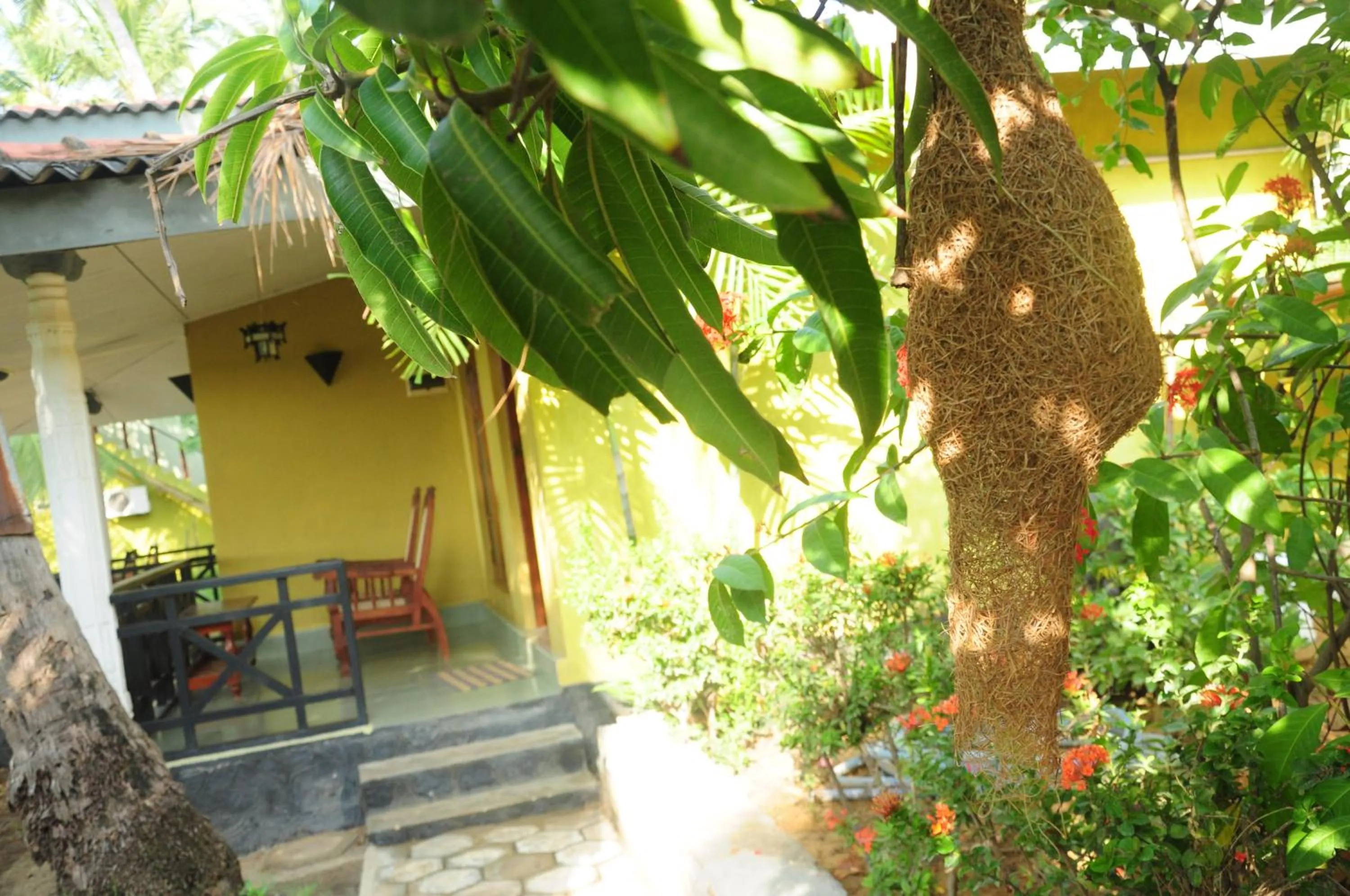 Balcony/Terrace in Traveller's Home Hotel