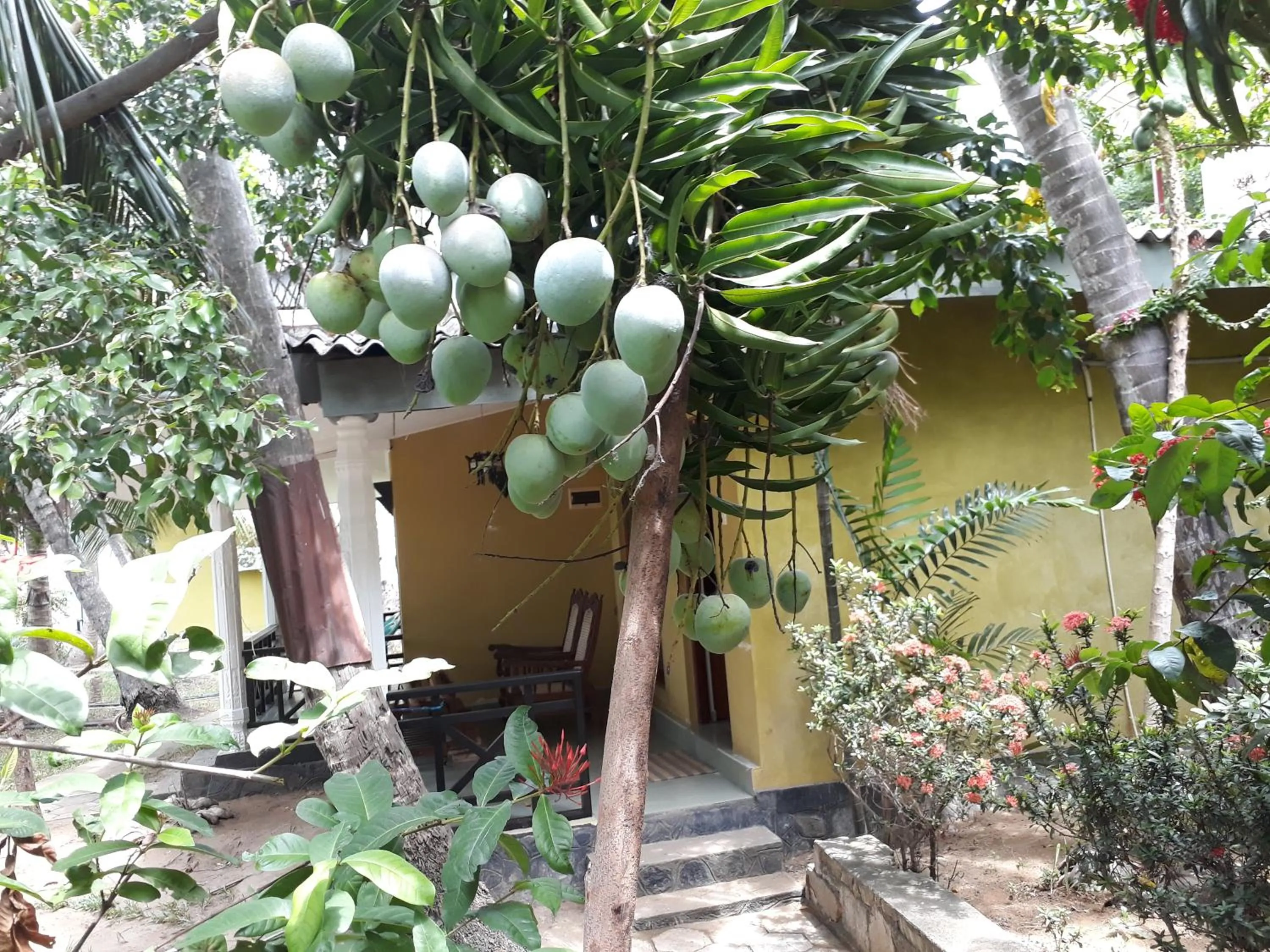 Garden in Traveller's Home Hotel