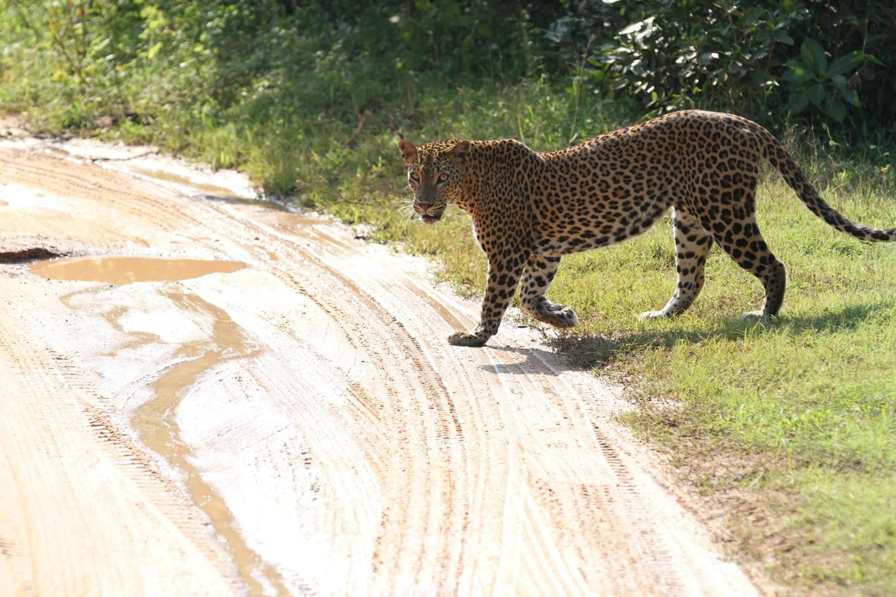 Day in Traveller's Home Hotel