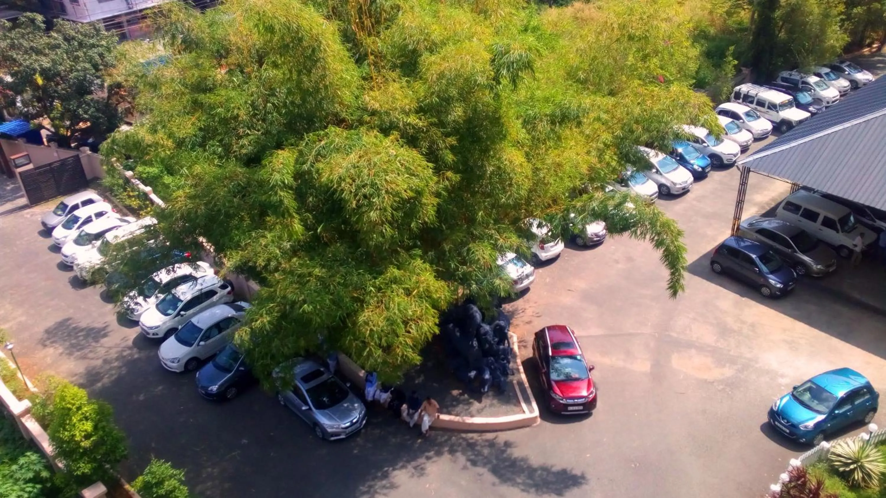 Parking in Sopanam Heritage