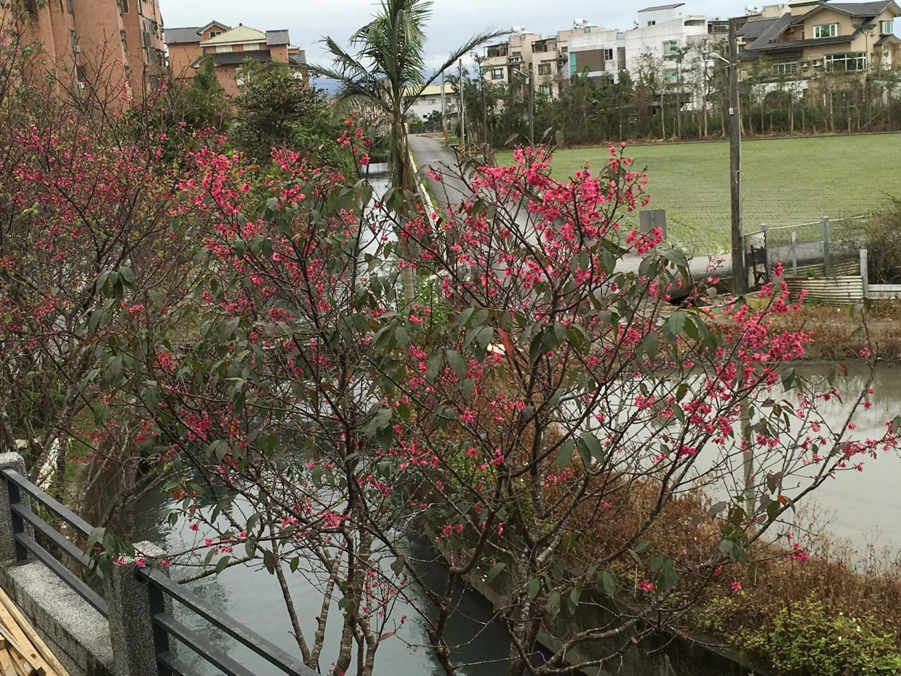 Off site in Mystery13