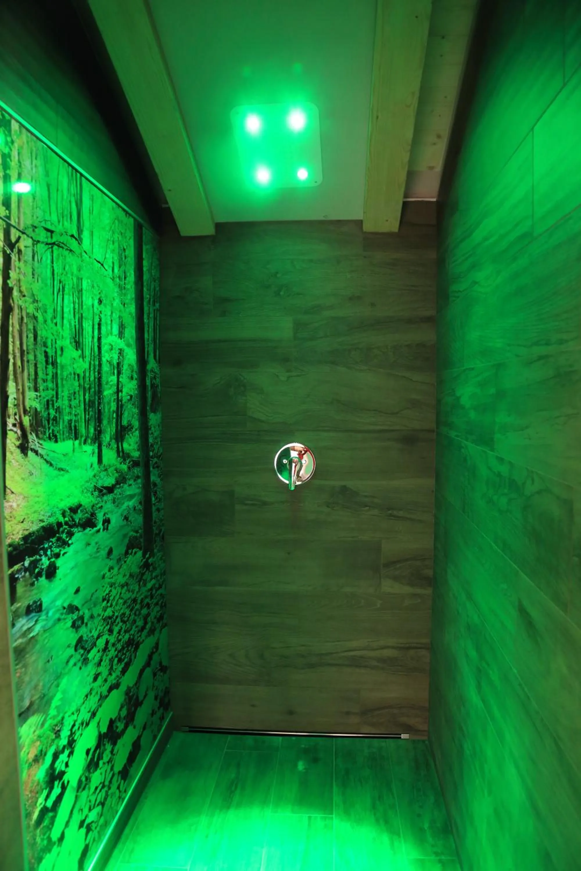 Sauna in Relax Hotel Erica