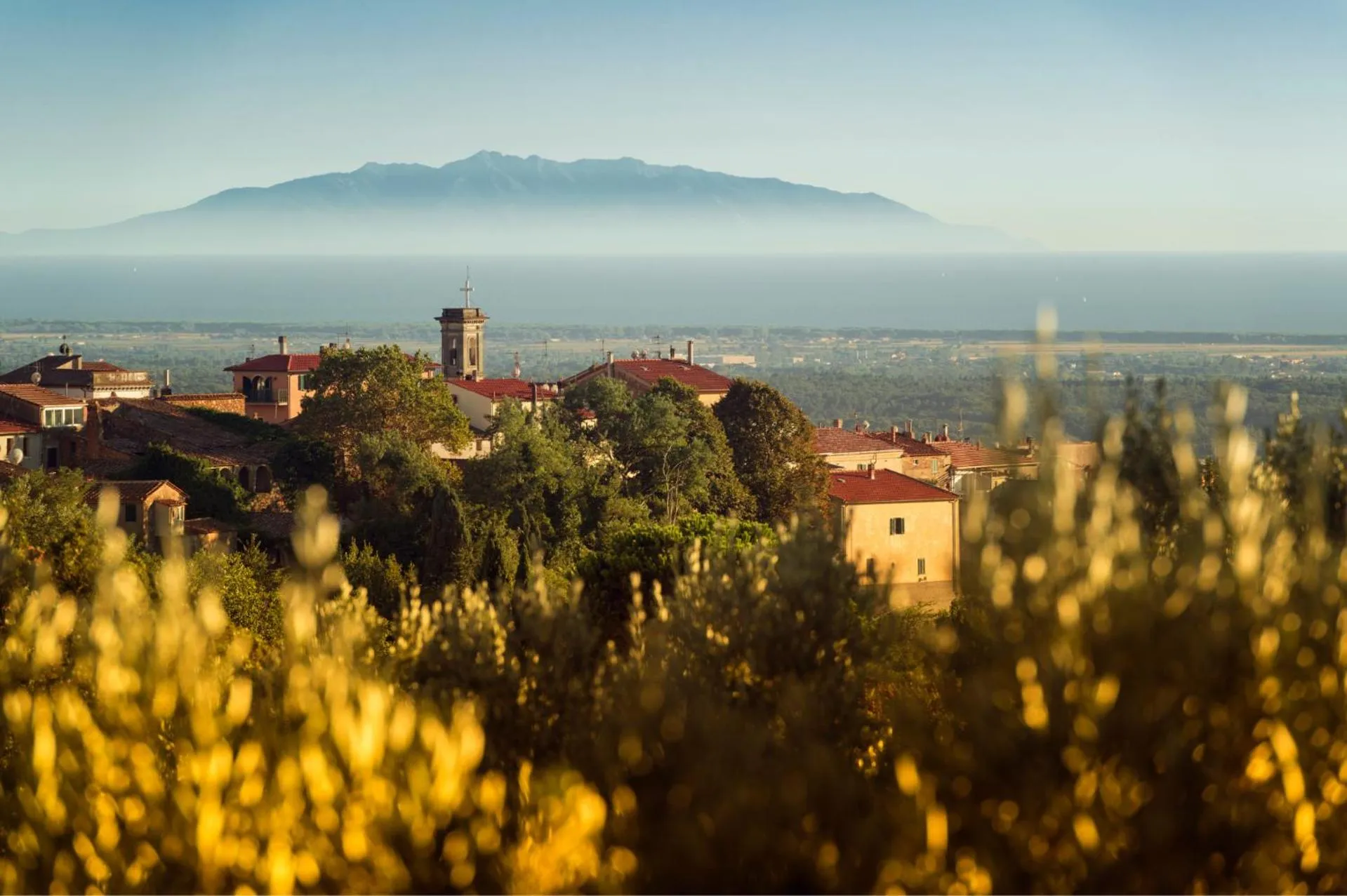 Natural landscape in Borgo San Martino - Residence Hotel & SPA