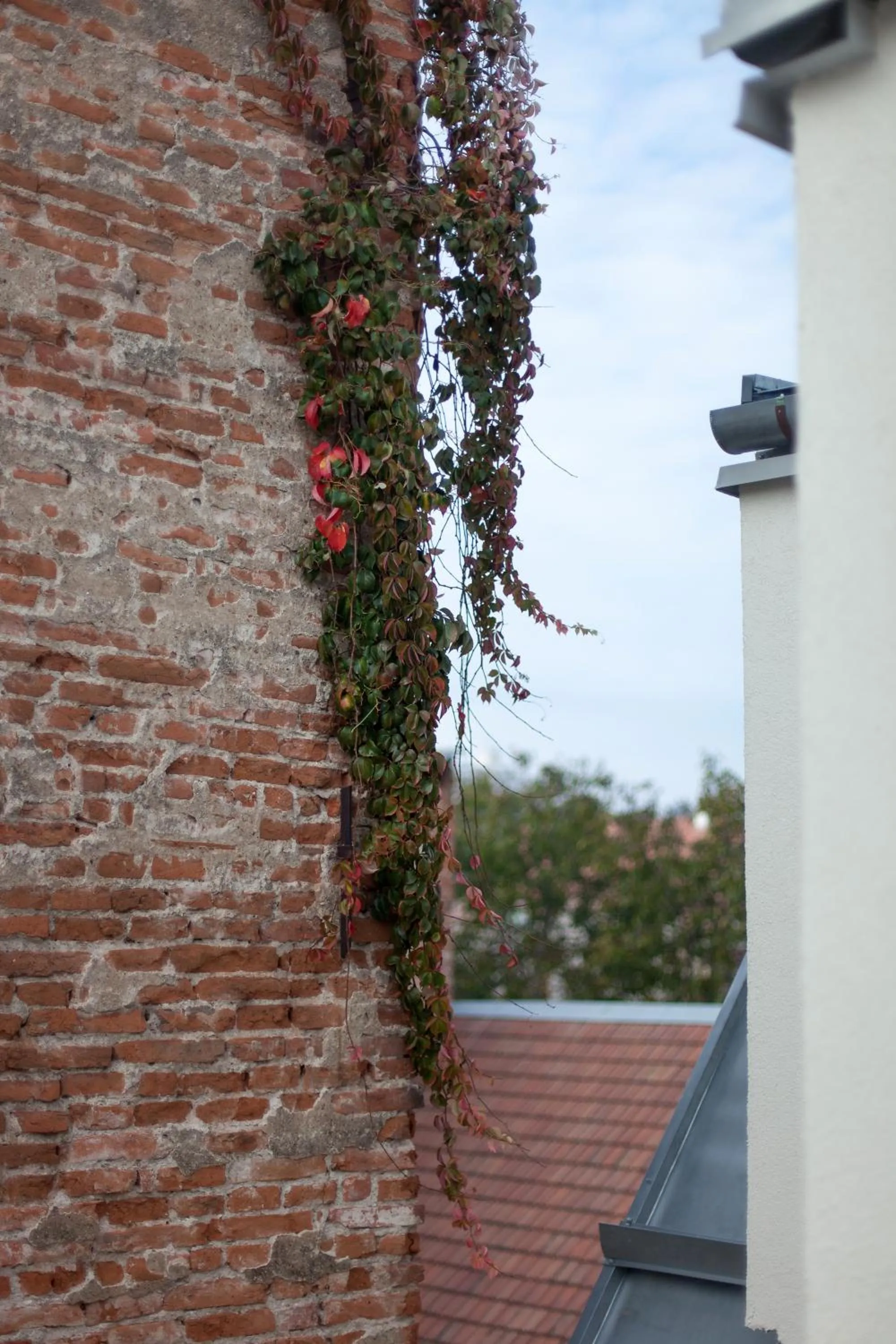 View (from property/room) in Camino Home