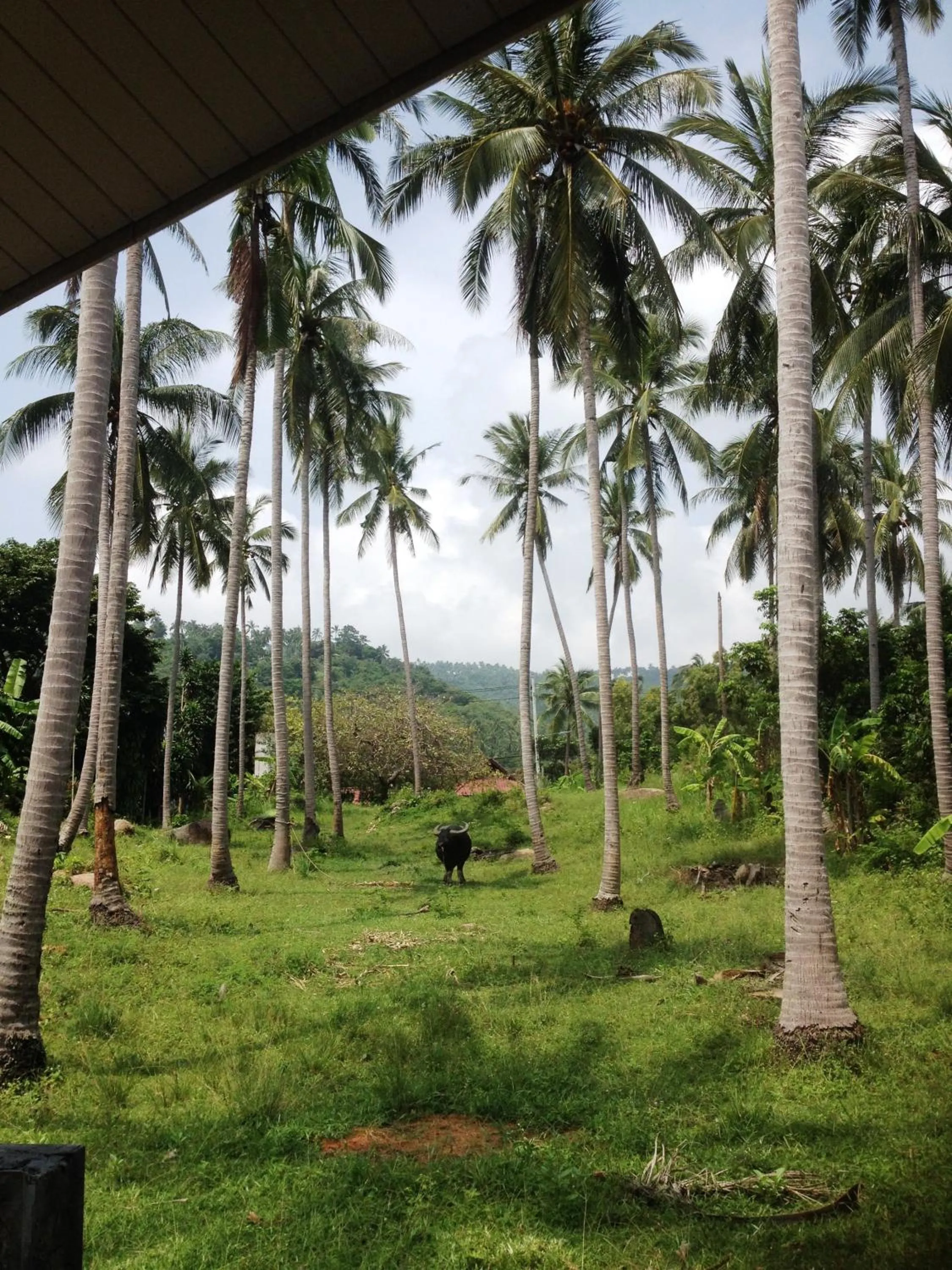 Facade/entrance in Baan Sawan Samui Resort