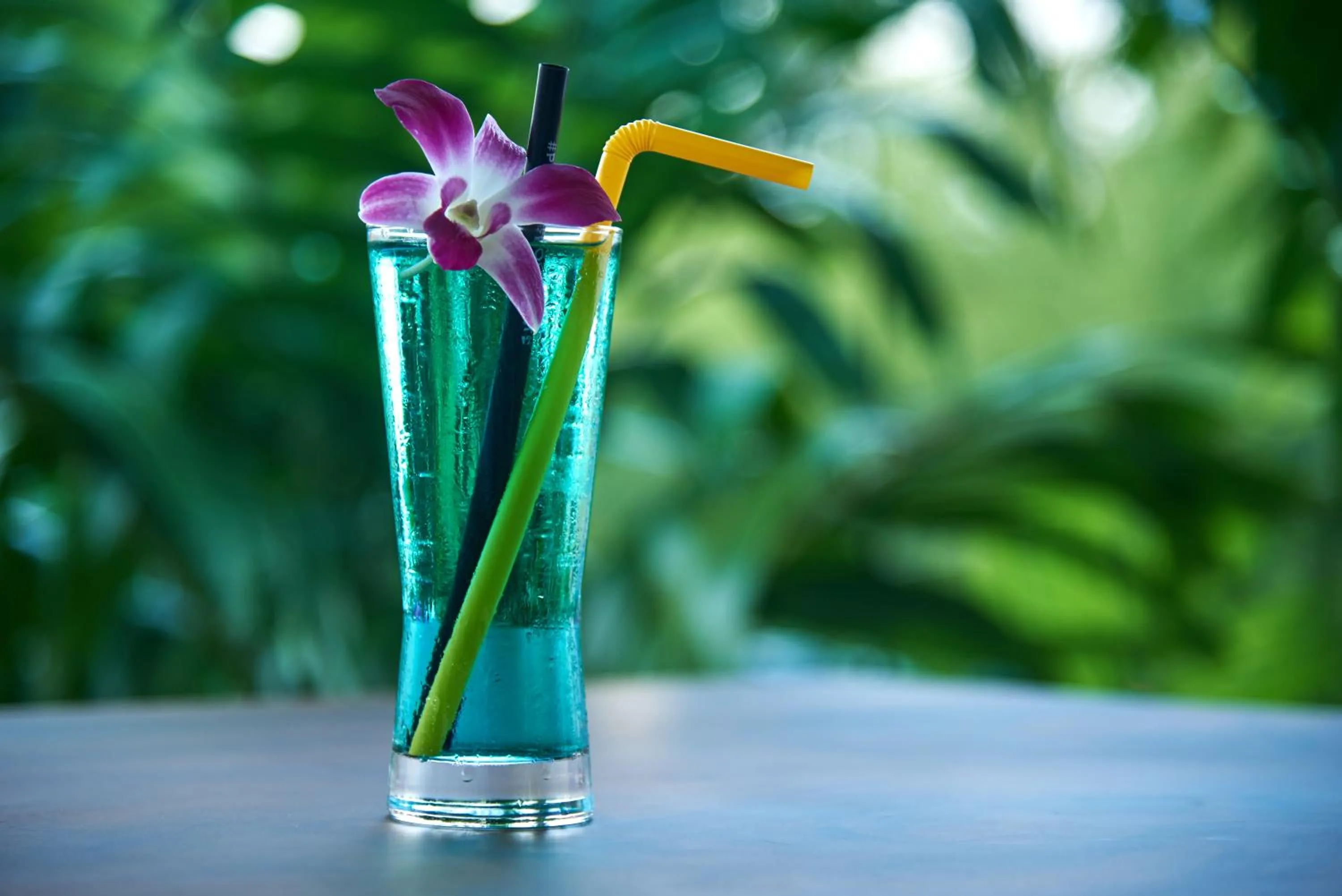 Garden in Baan Sawan Samui Resort