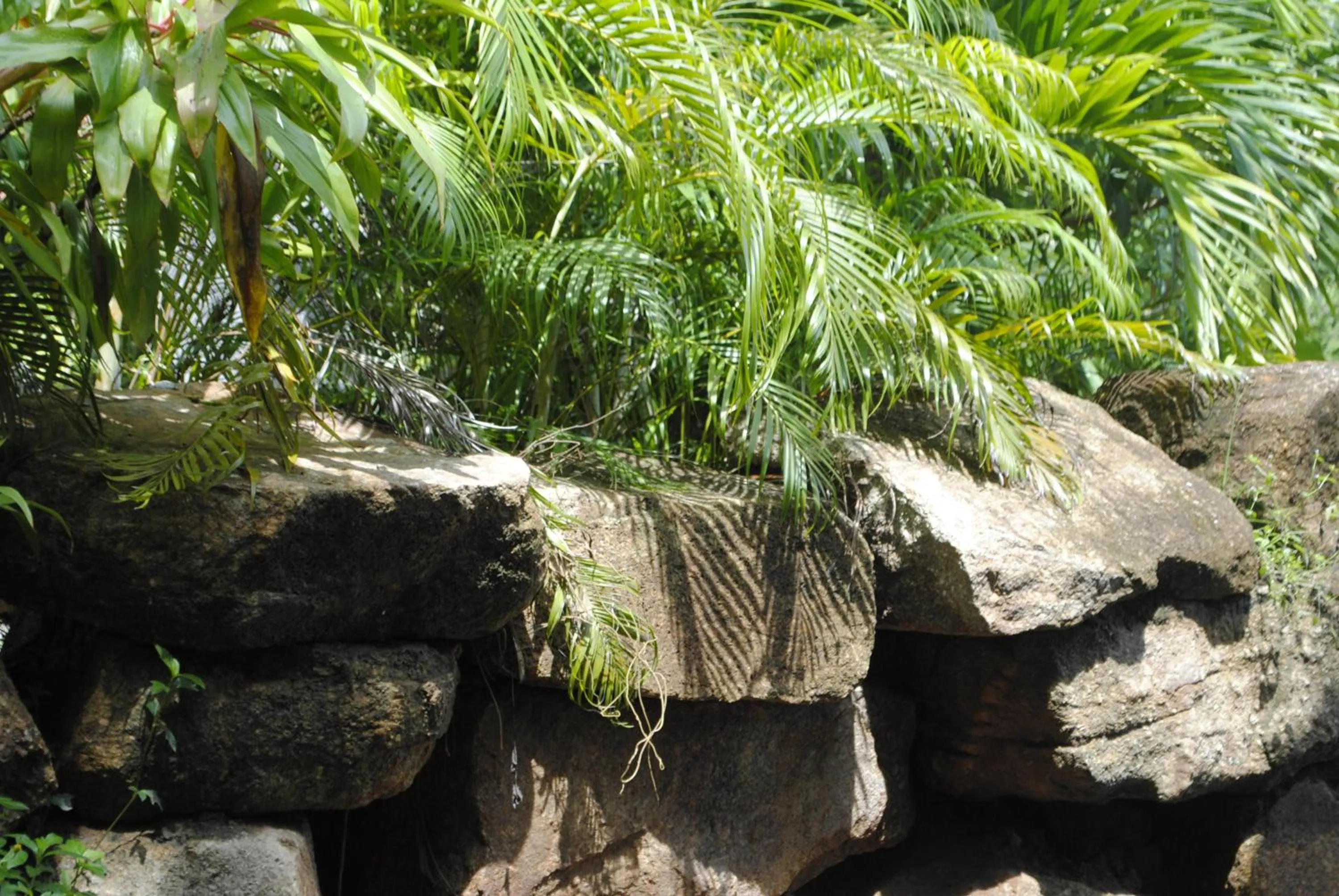 Garden in Baan Sawan Samui Resort